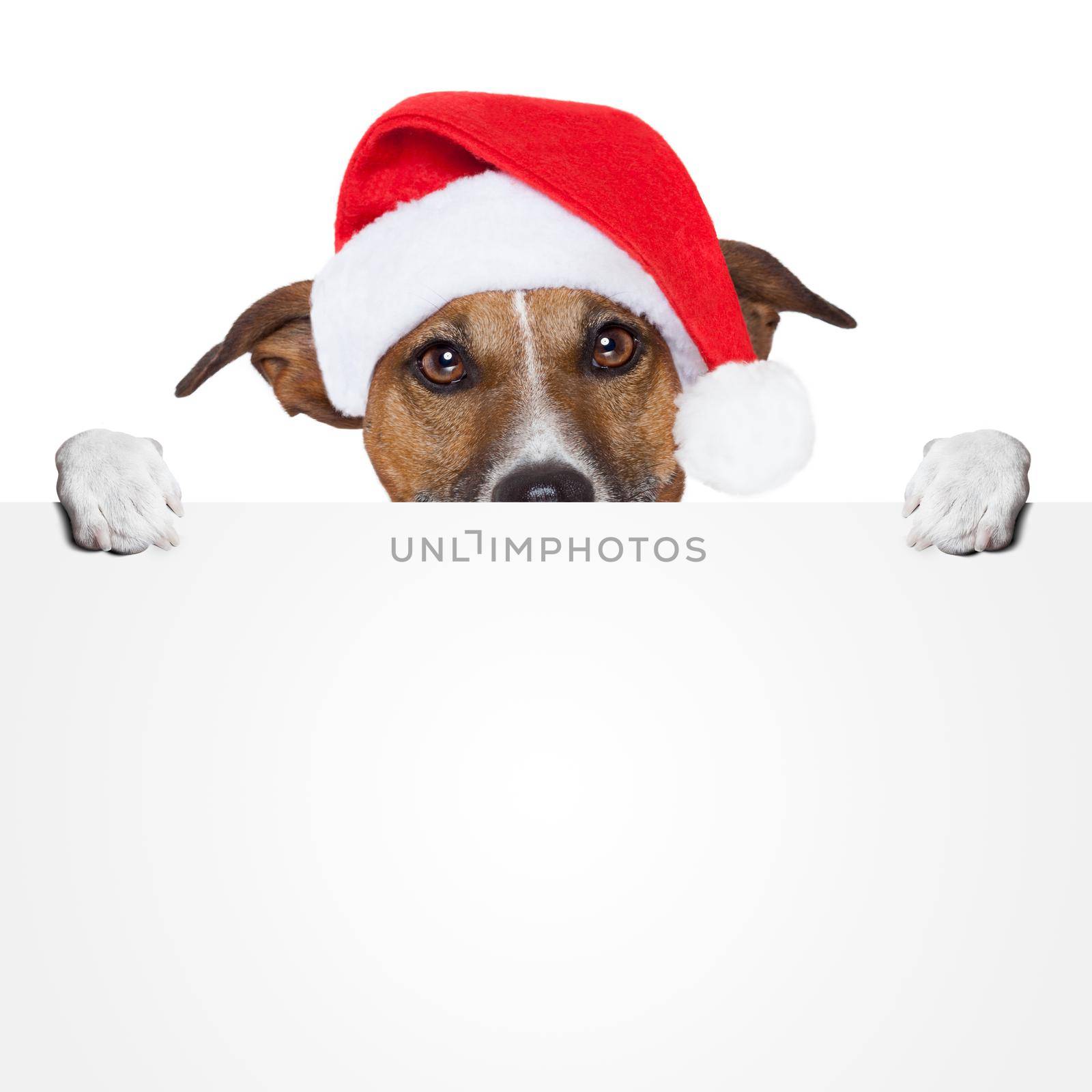 christmas banner placeholder dog by Brosch