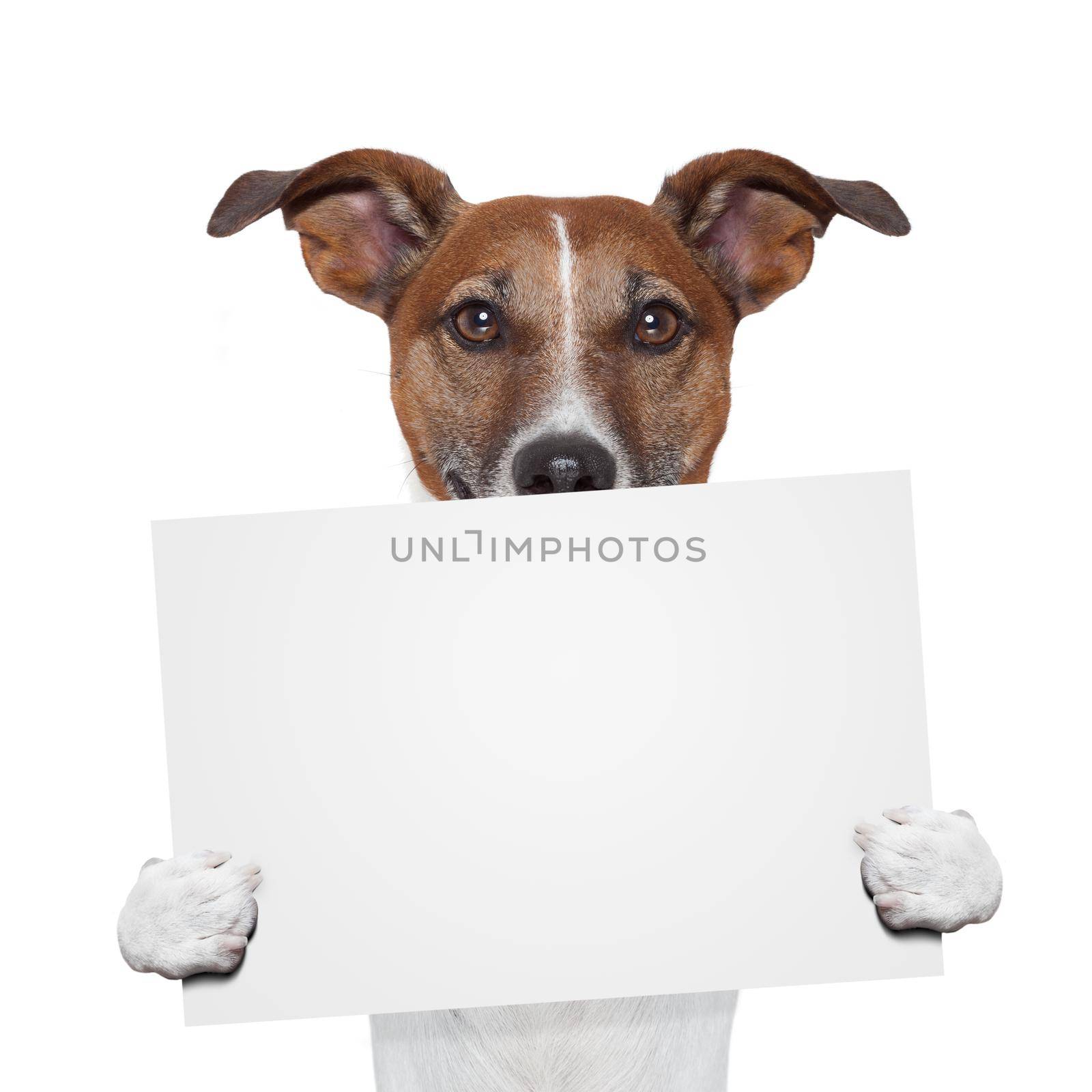 placeholder banner dog by Brosch