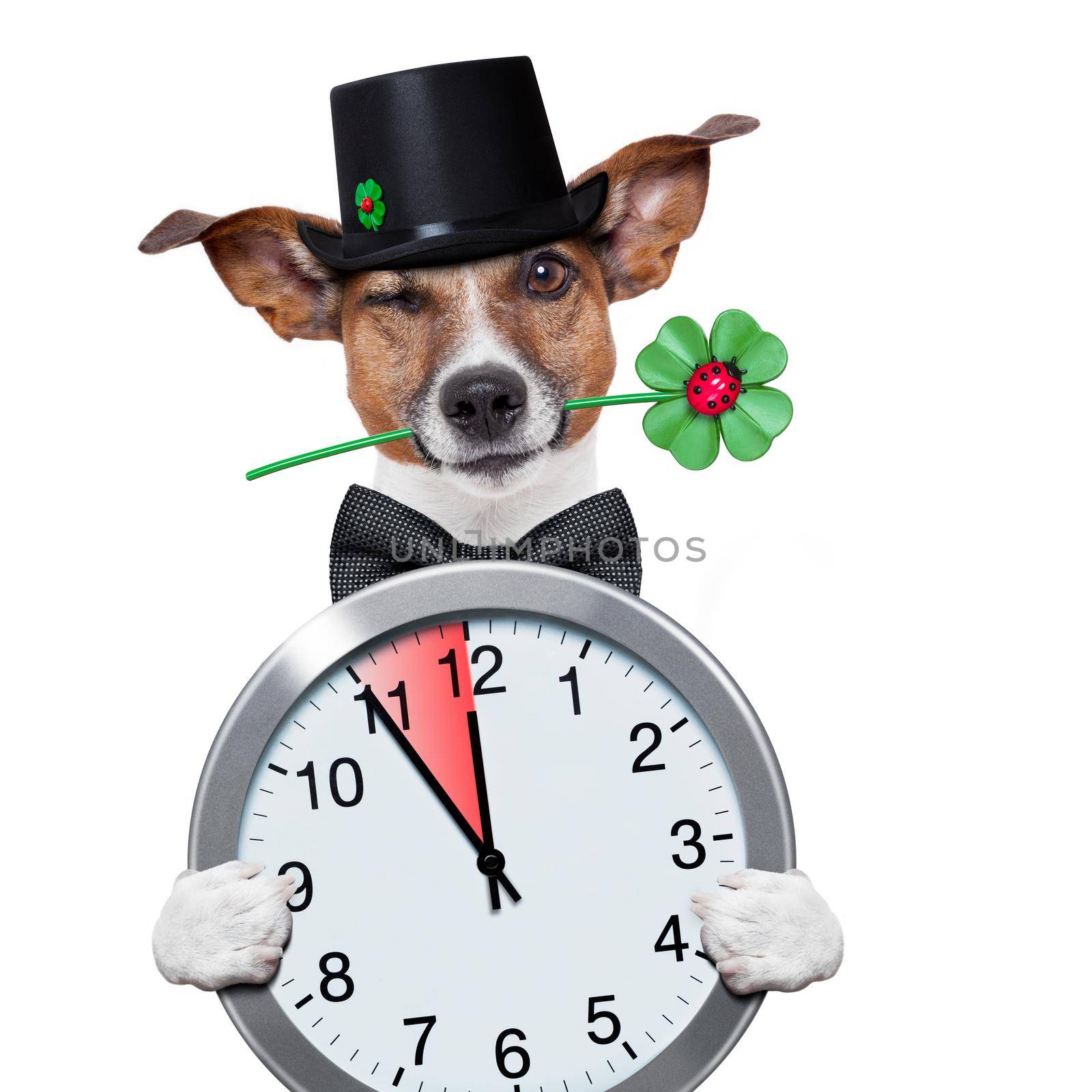 good luck chimney sweeper dog with hat and clock