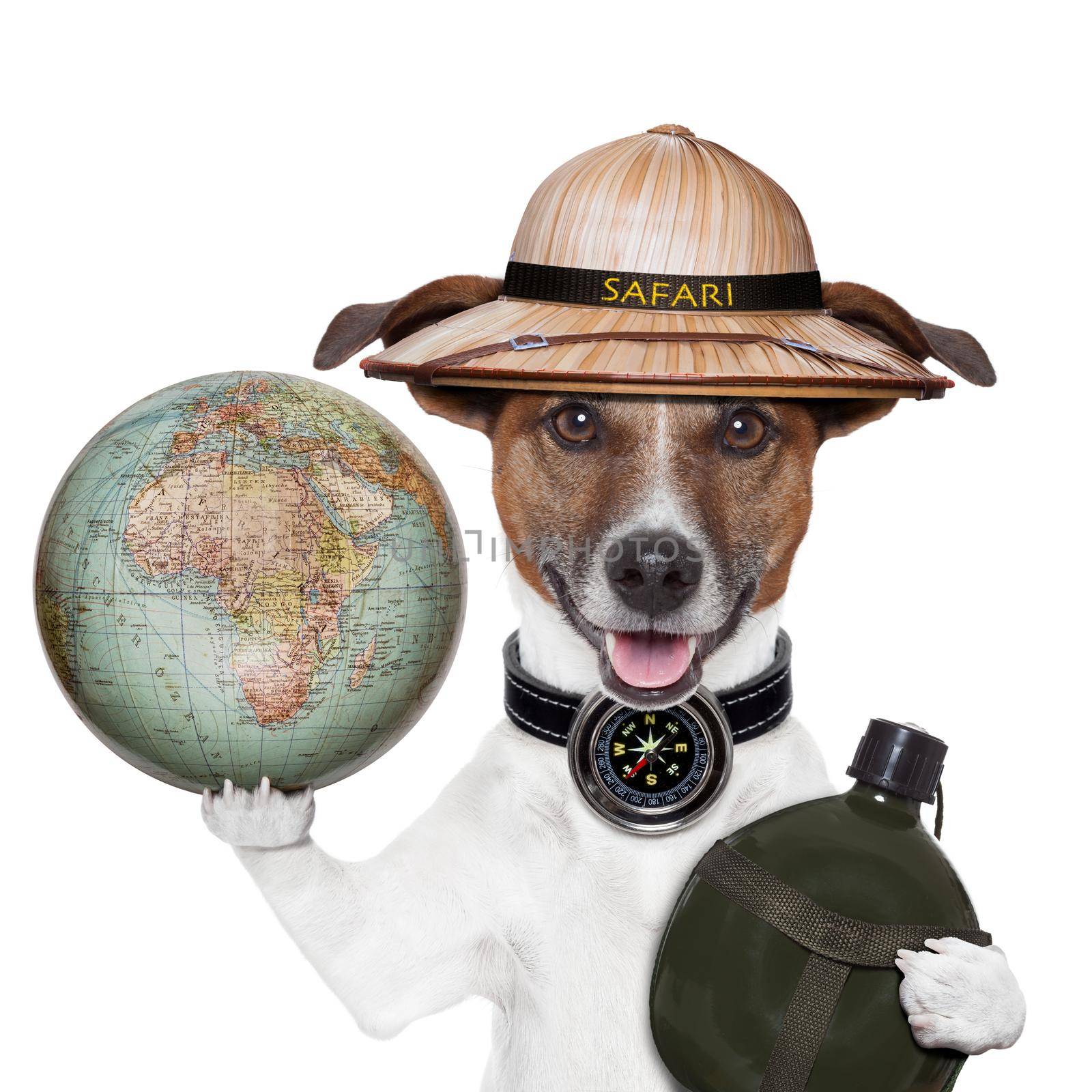 travel globe compass dog safari by Brosch