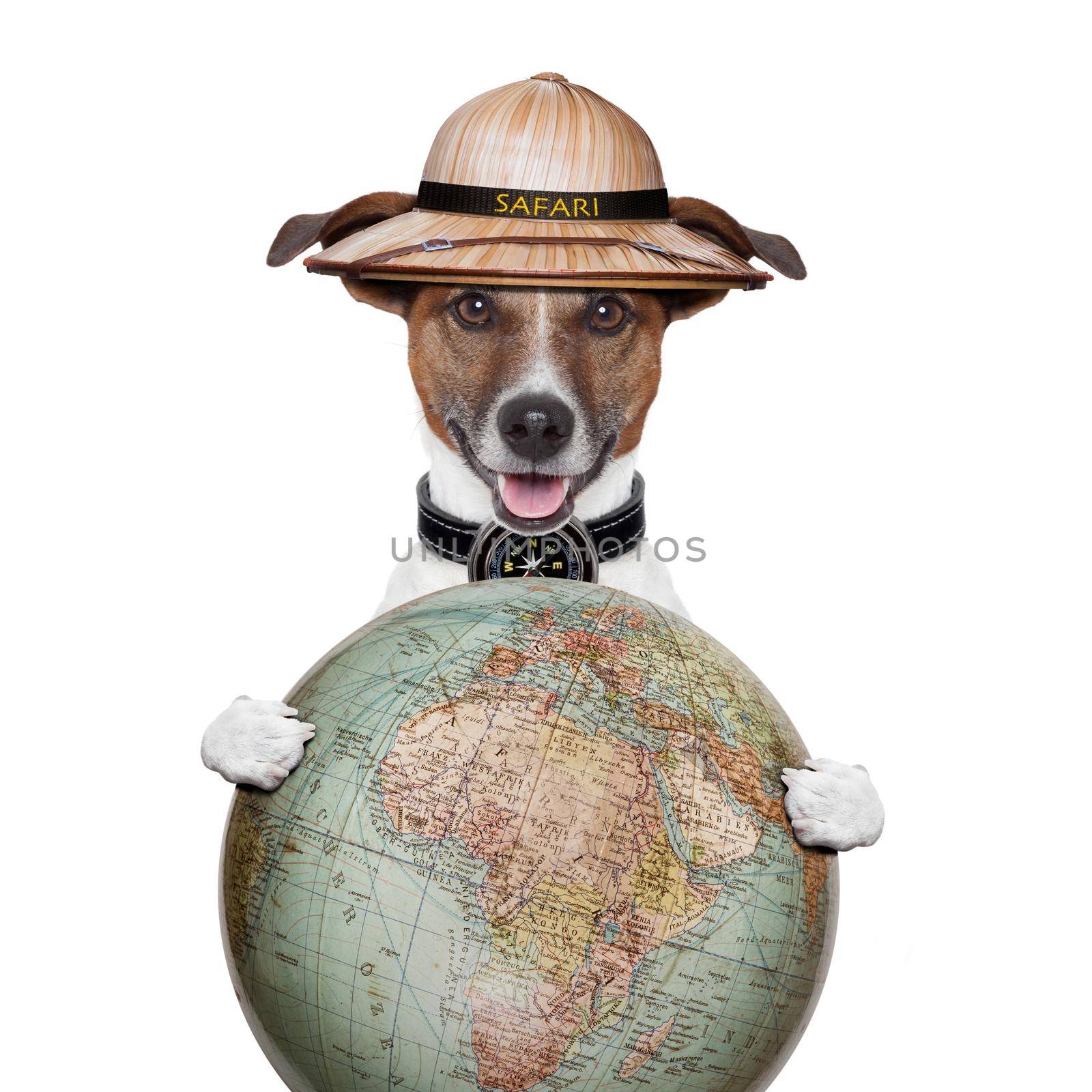 travel globe compass dog safari explorer by Brosch