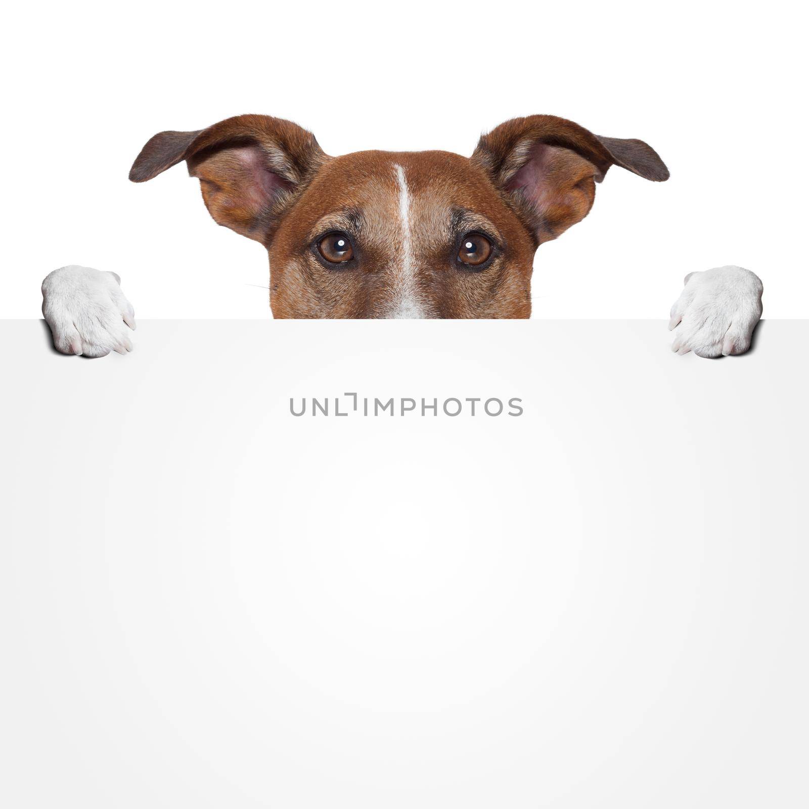 placeholder banner dog by Brosch