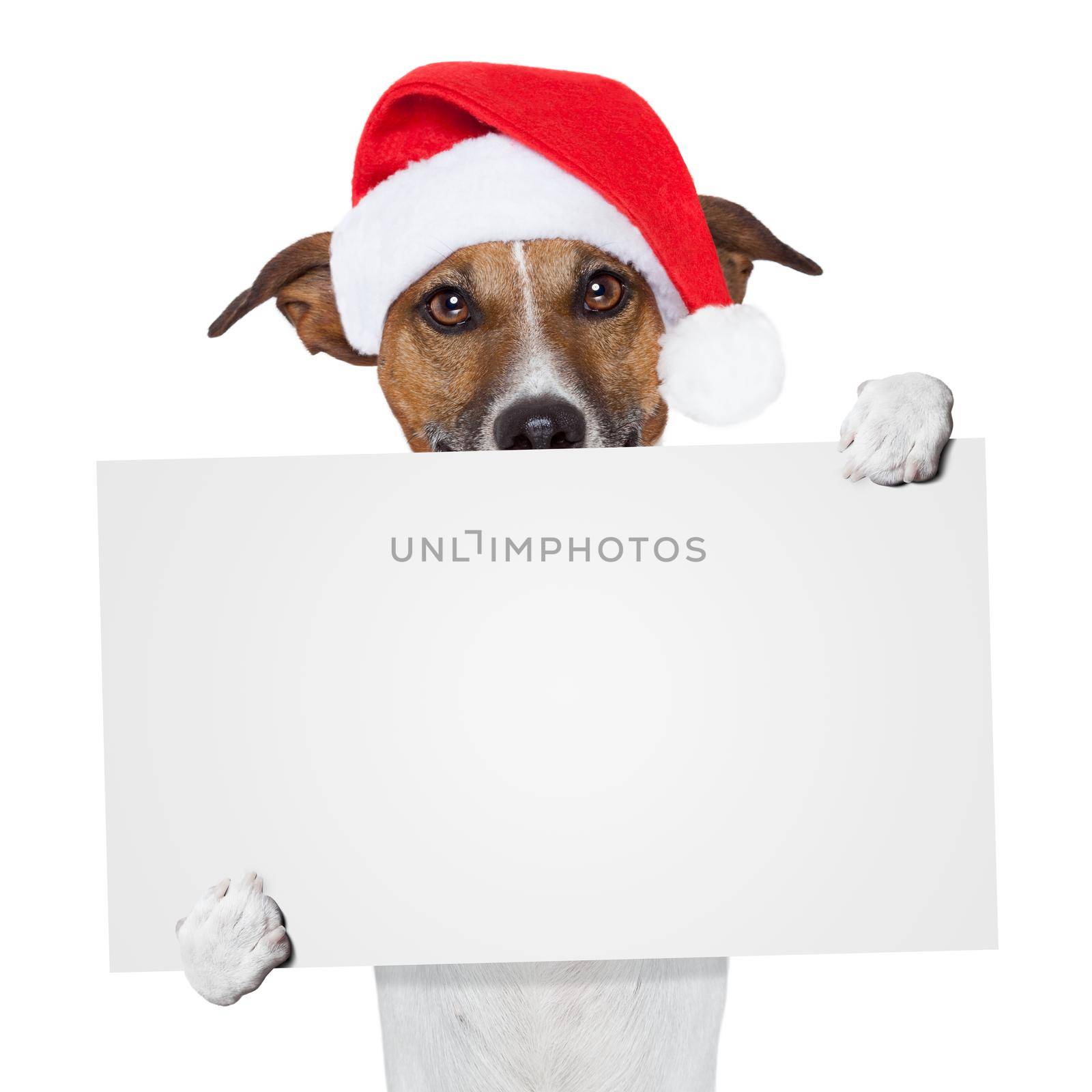 christmas banner placeholder dog by Brosch