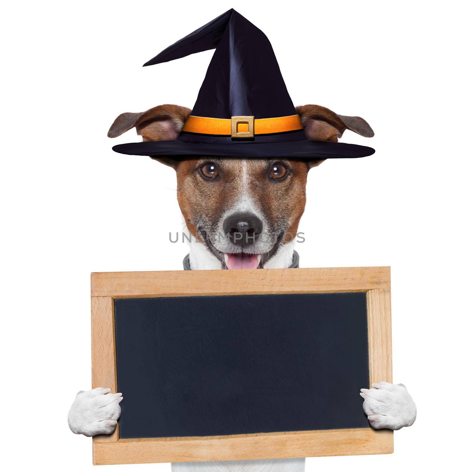 halloween placeholder banner dog