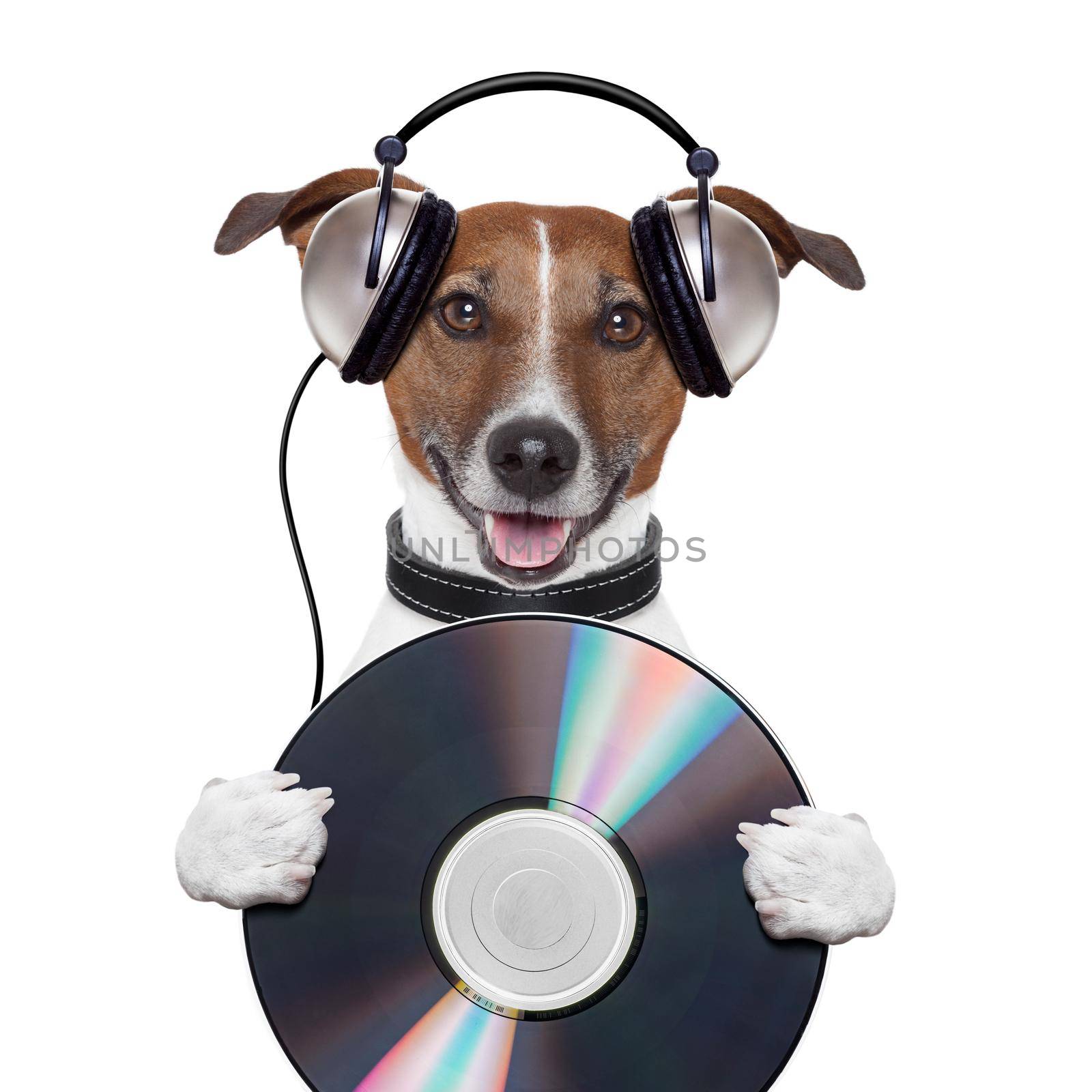 music headphone cd dog by Brosch