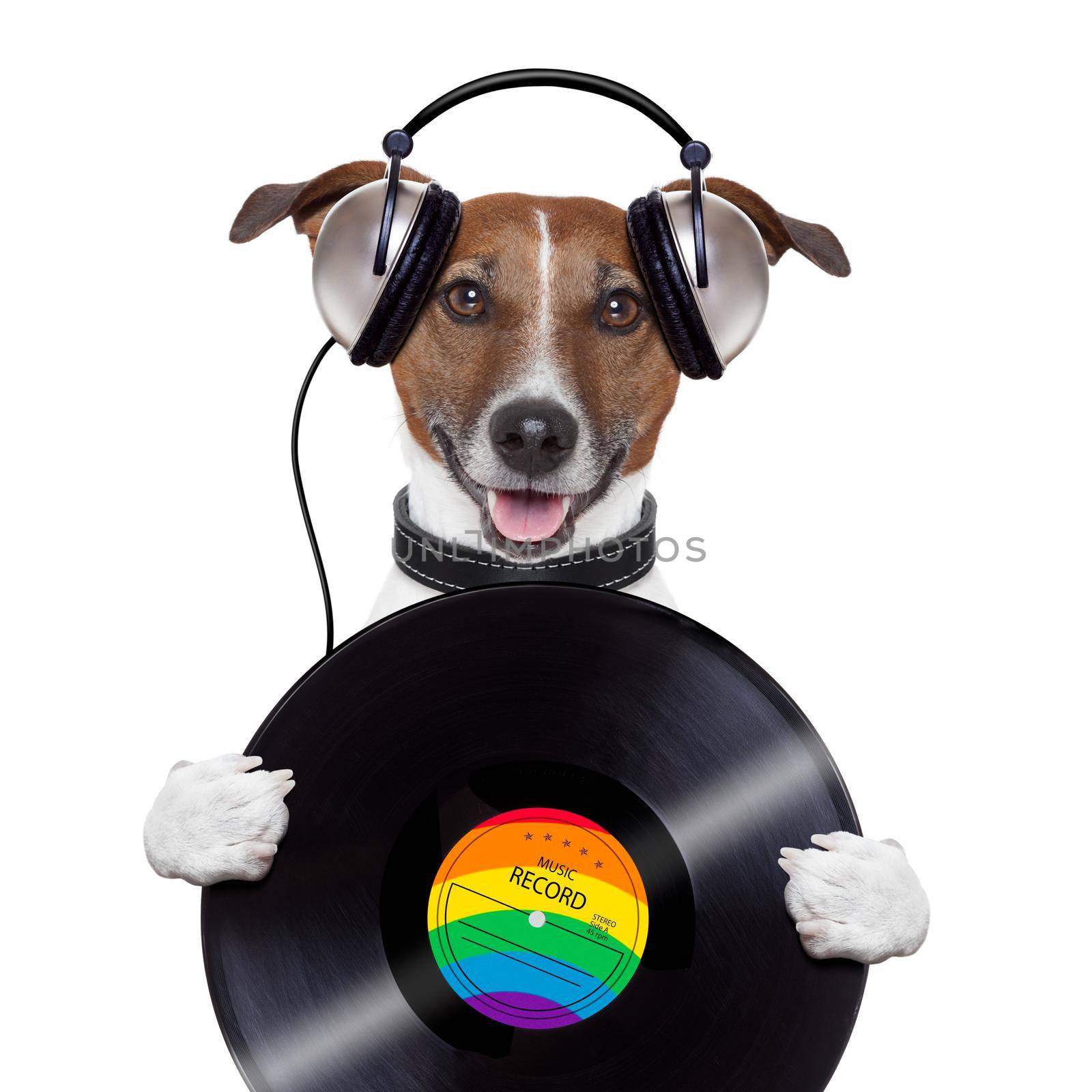 music headphone vinyl record dog by Brosch