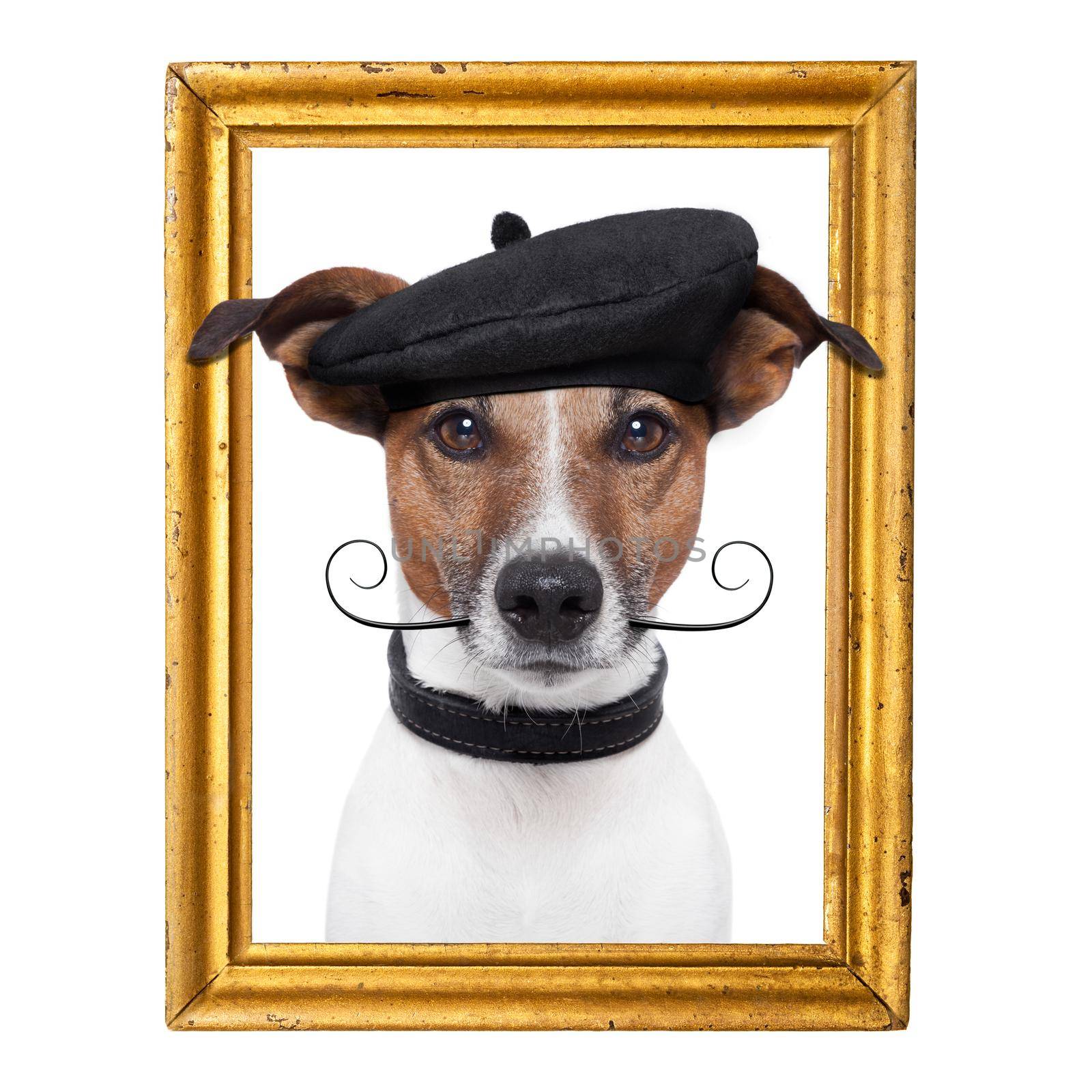 painter artist frame  dog