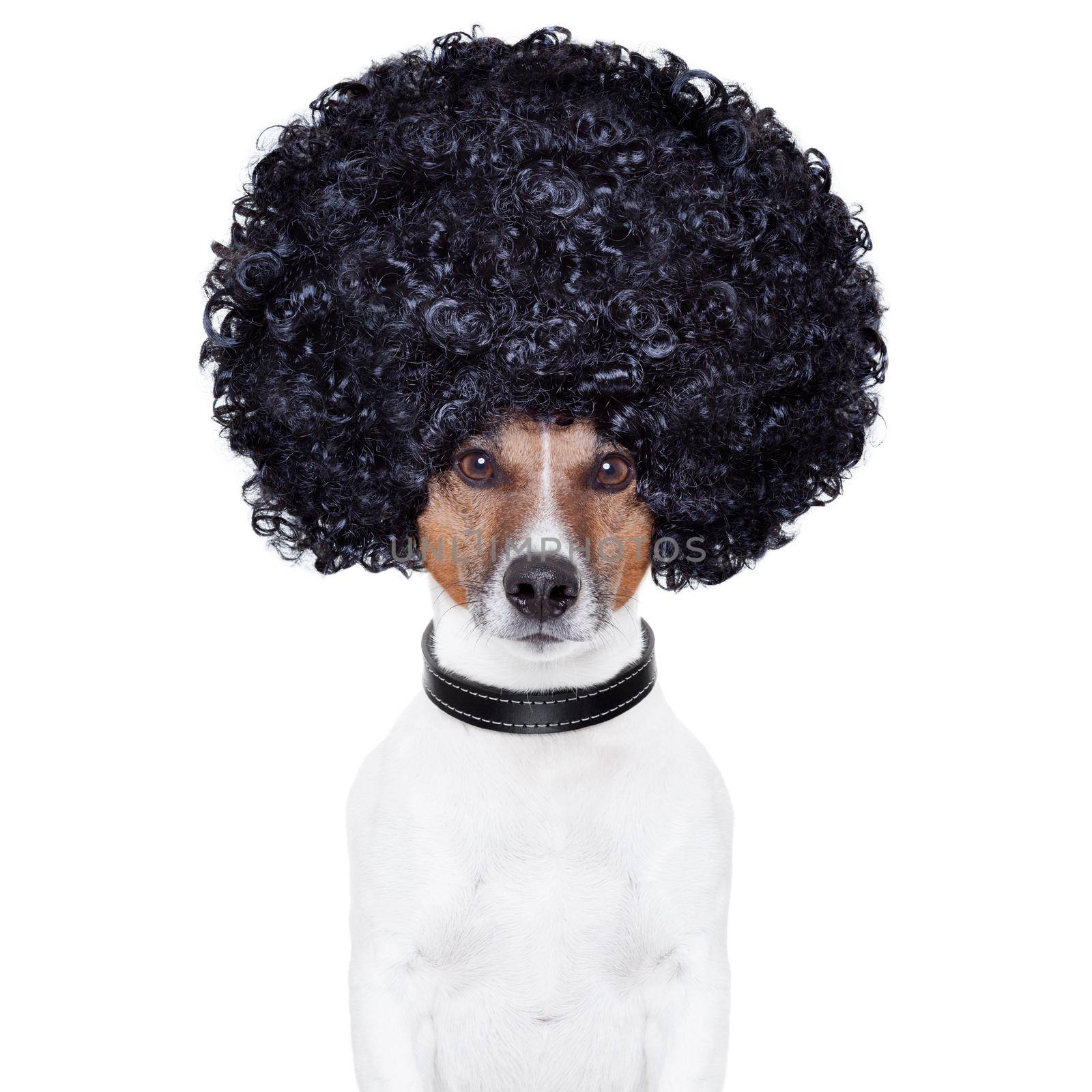 afro look hair dog funny by Brosch