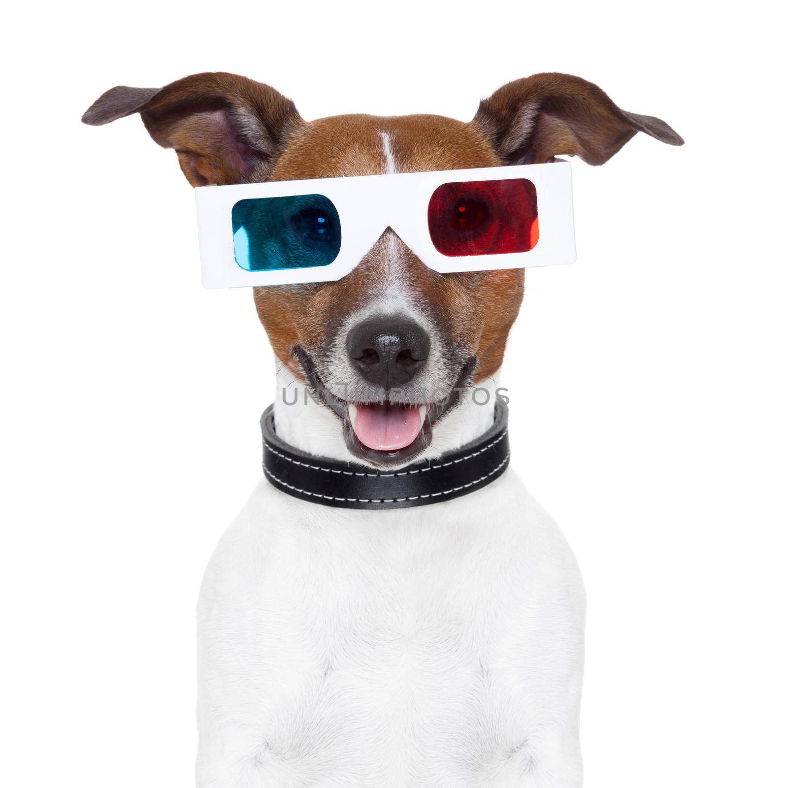 3d  glasses movie cinema dog by Brosch