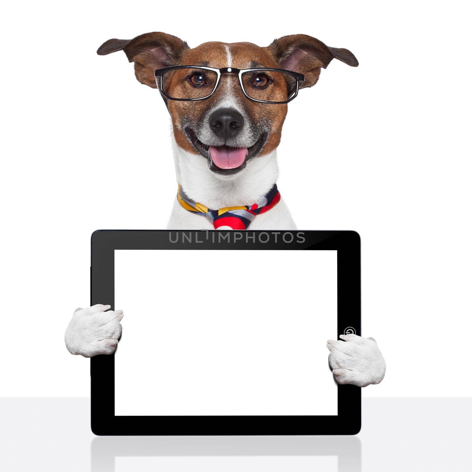 business dog tablet pc ebook computer notebook