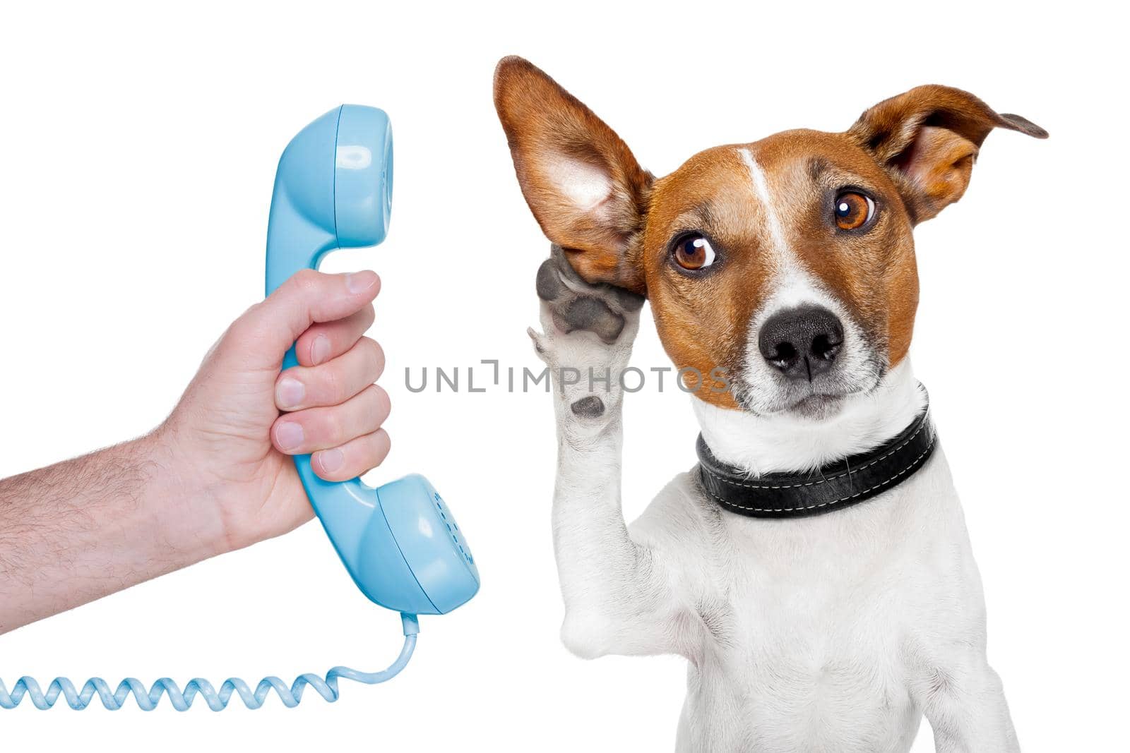 dog on the phone male hand by Brosch