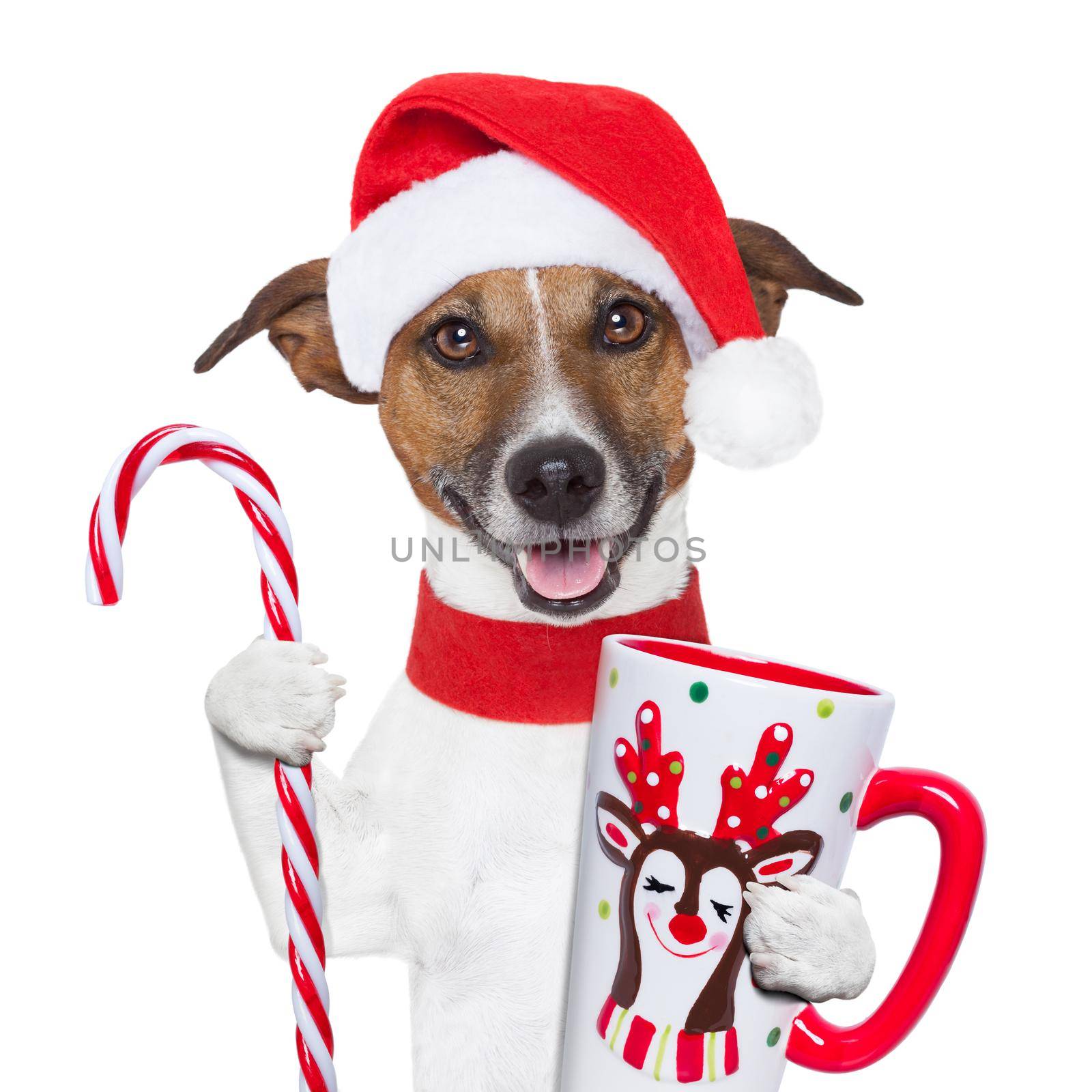 xmas dog with cup and candy cane by Brosch