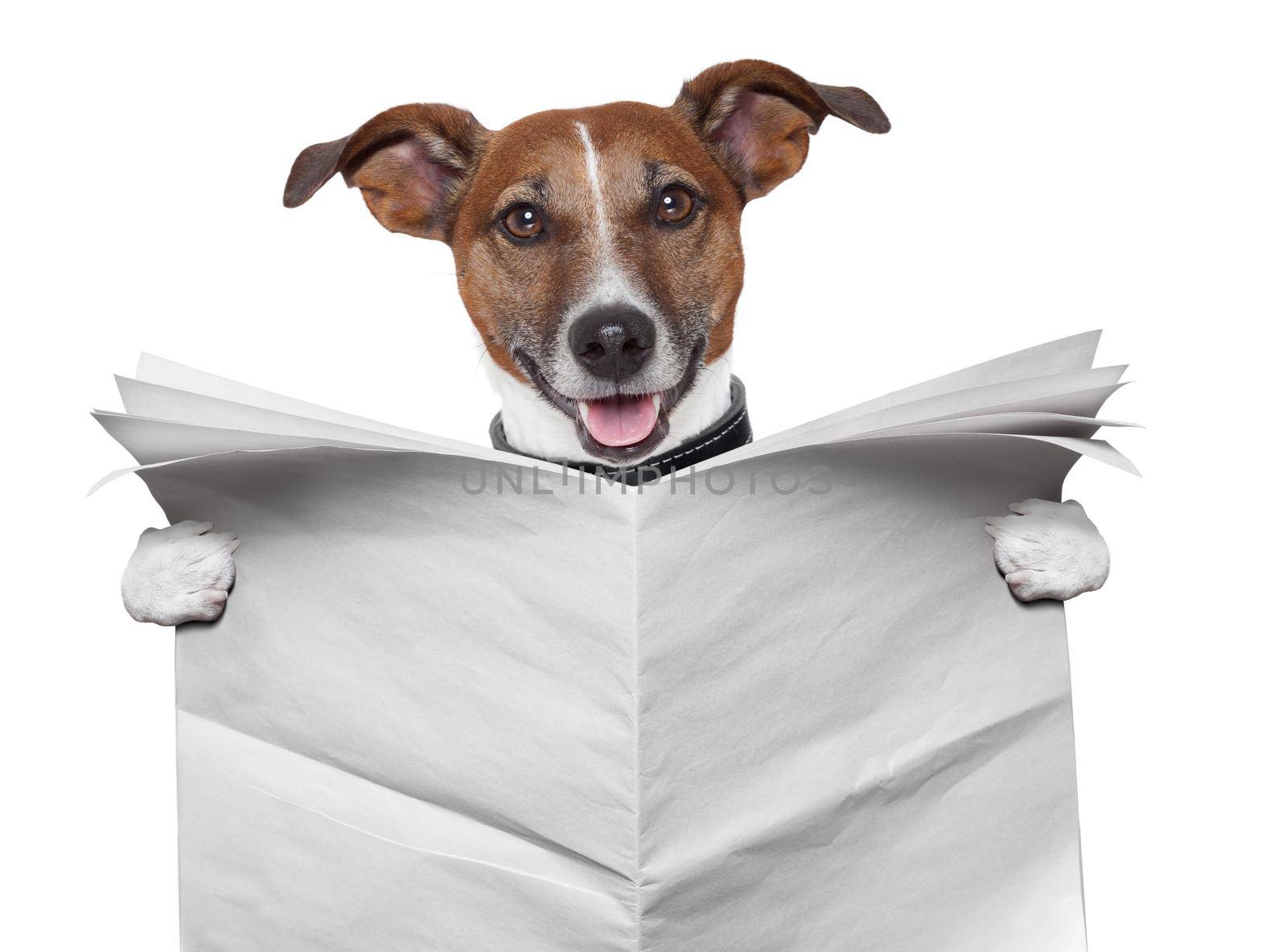 dog reading and holding a blank newspaper