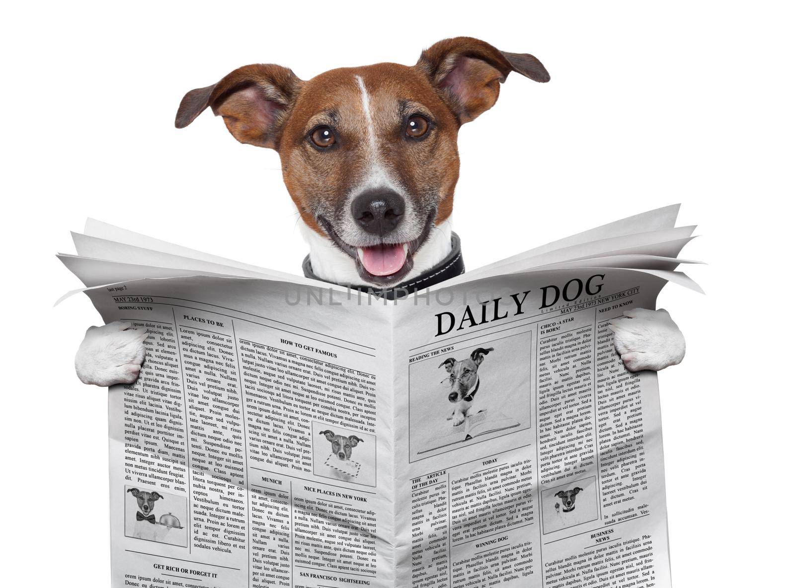 dog reading and holding a  newspaper