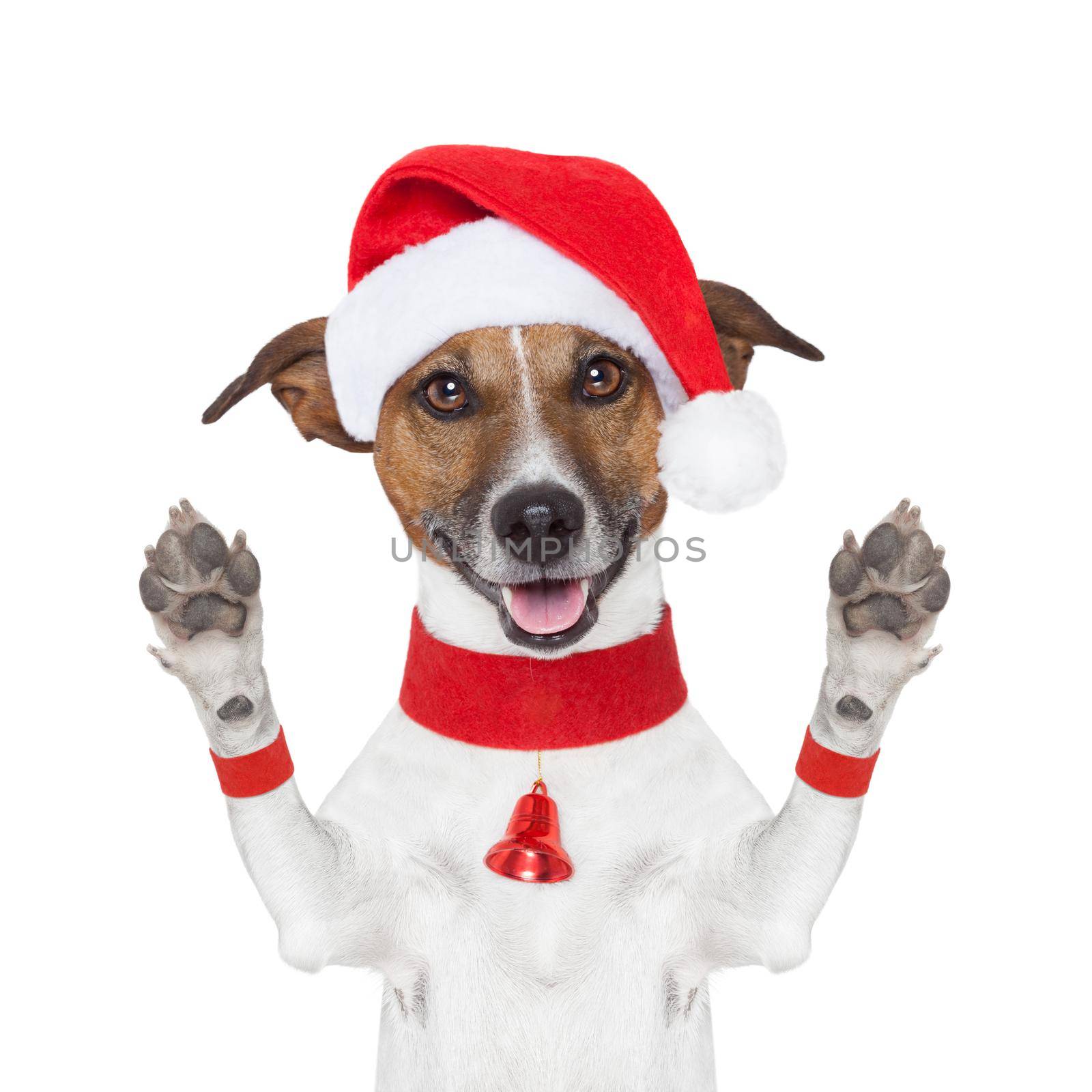 hello goodbye christmas  dog  by Brosch