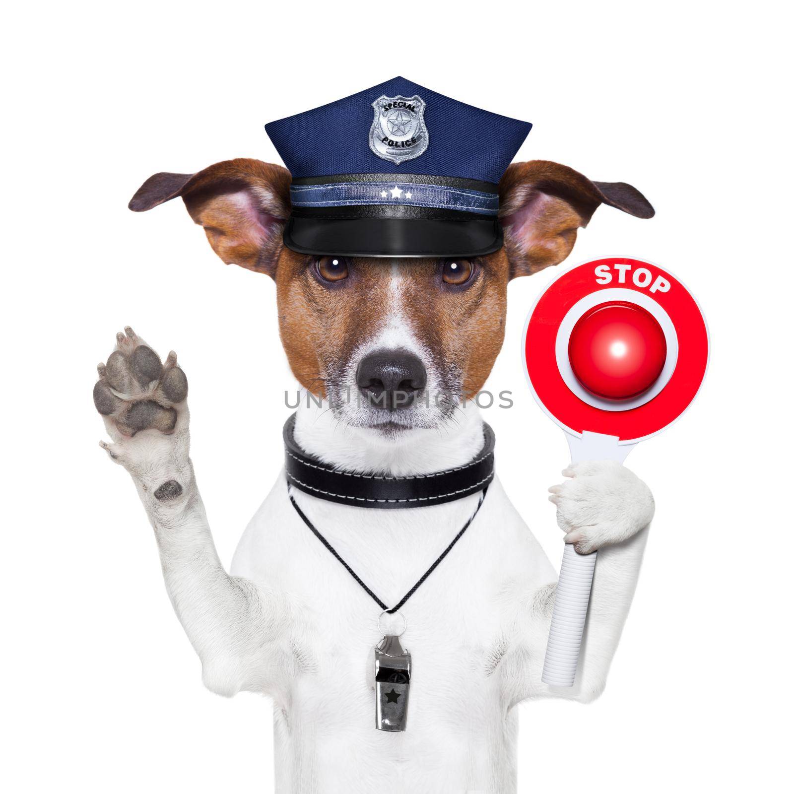 police dog by Brosch