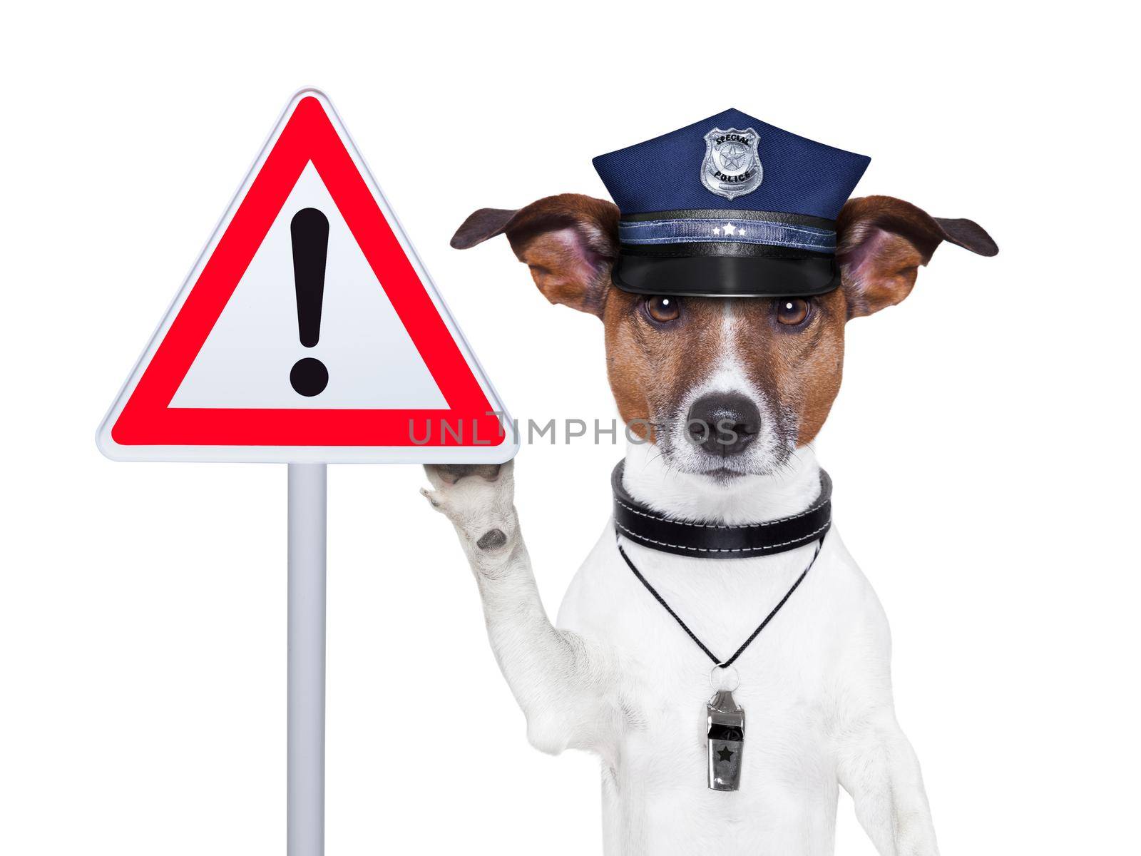 police dog with a street warning sign