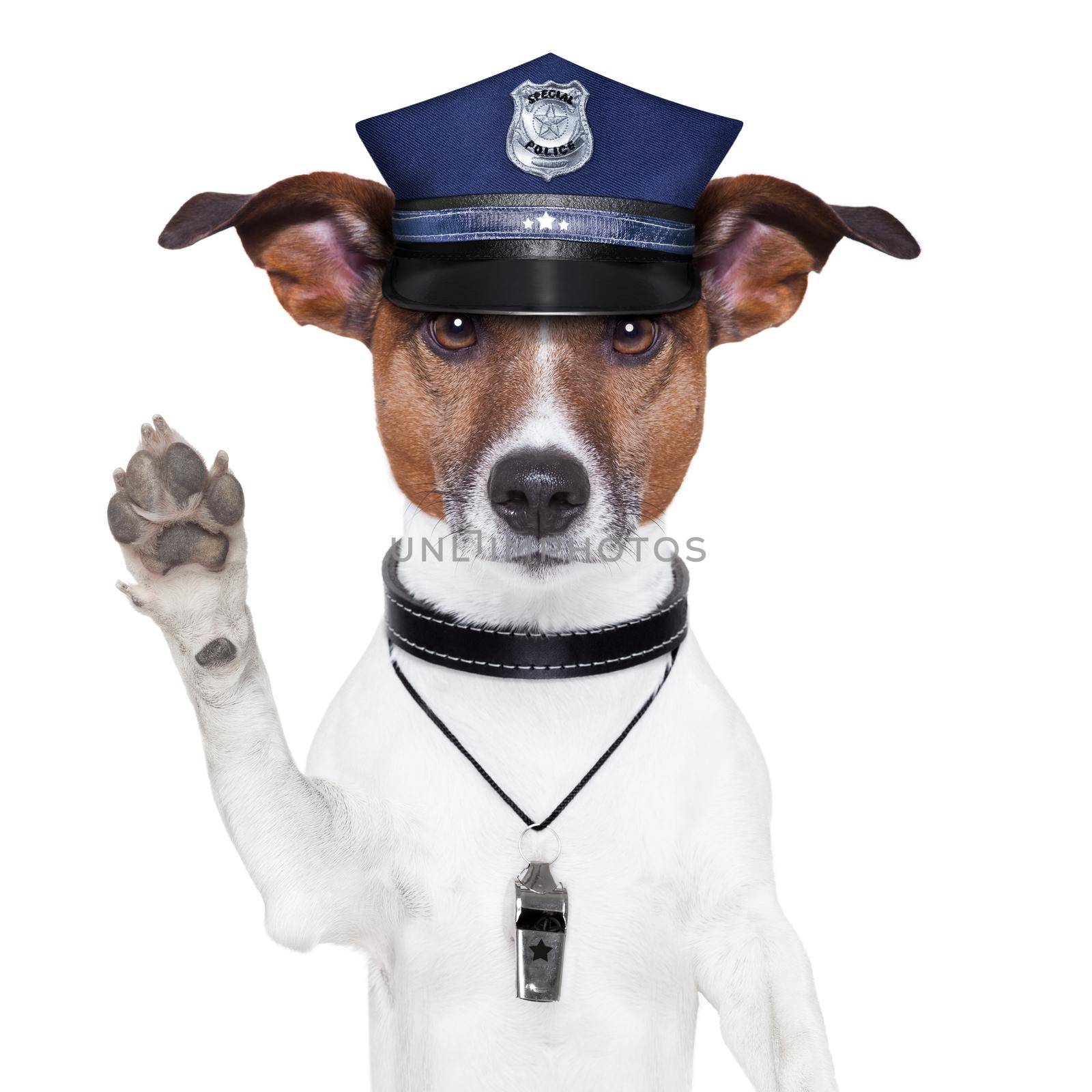 police dog by Brosch