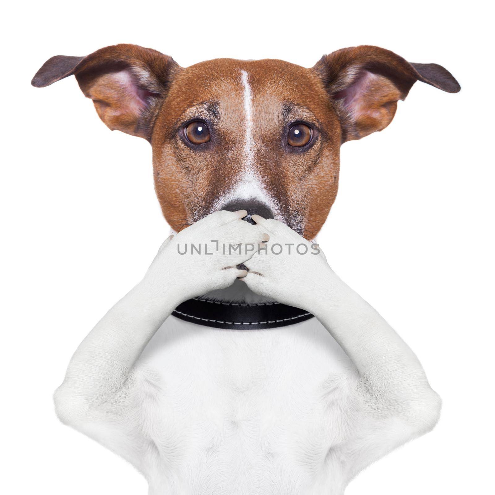 covering mouth dog  by Brosch