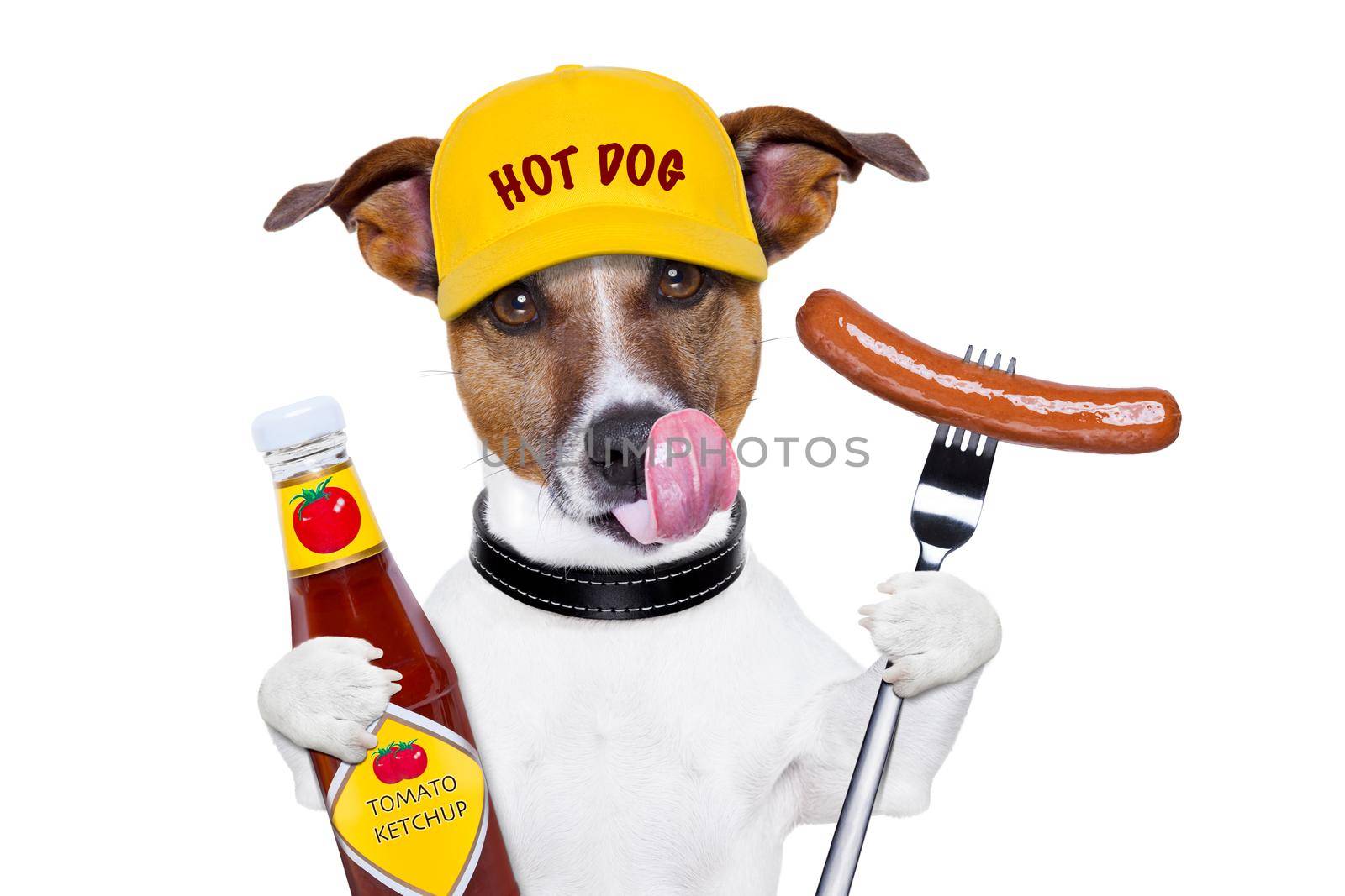 fast food dog with hot dog and ketchup licking with tongue