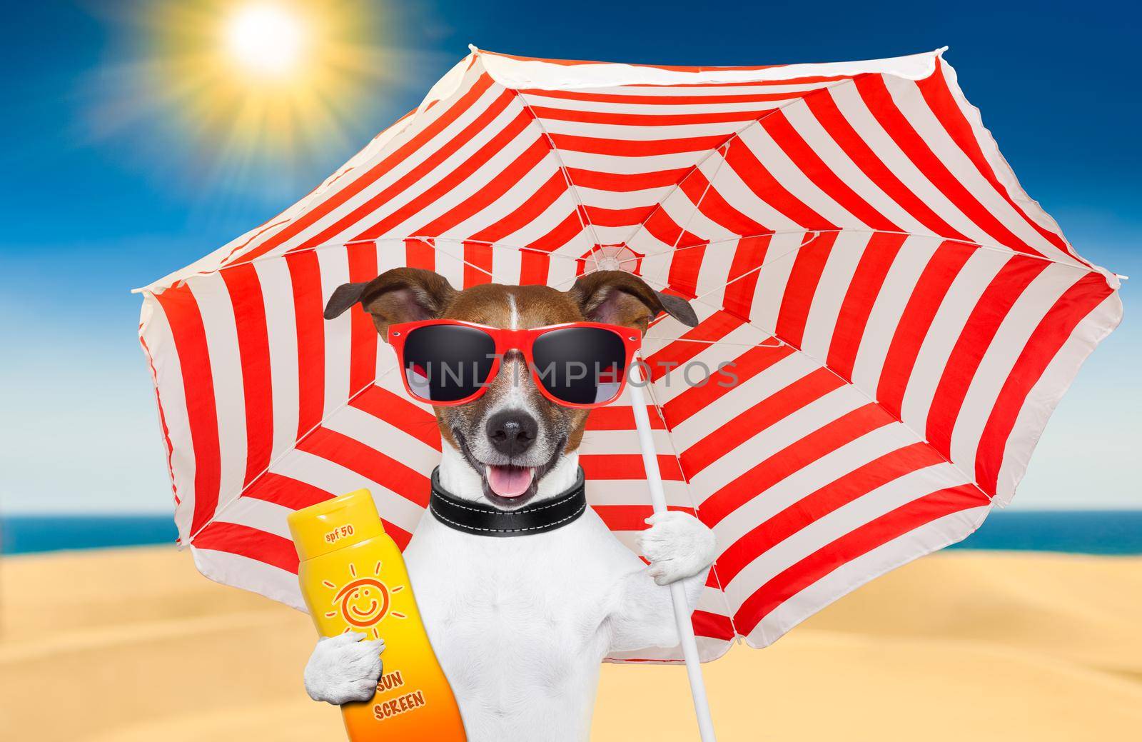 dog summer sunscreen  by Brosch