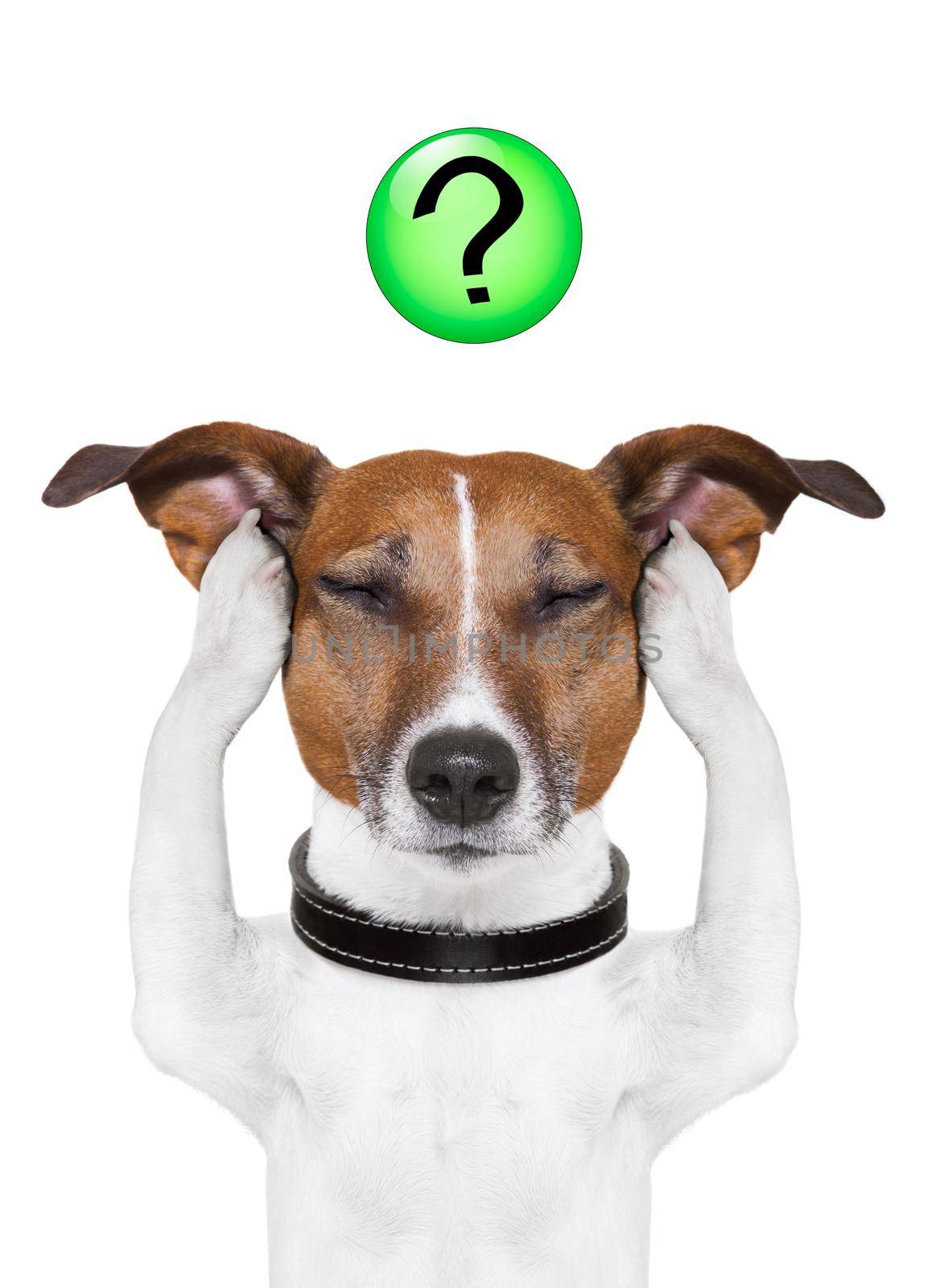 dog question mark by Brosch