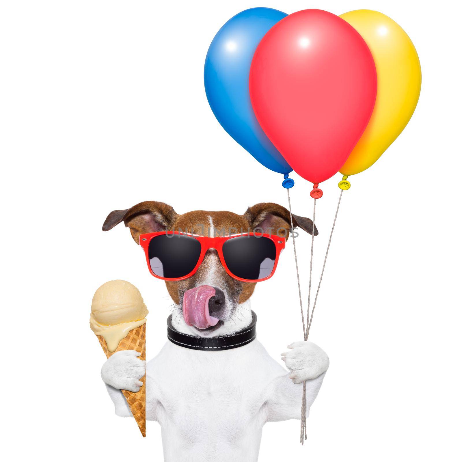 dog licking with ice cream and balloons