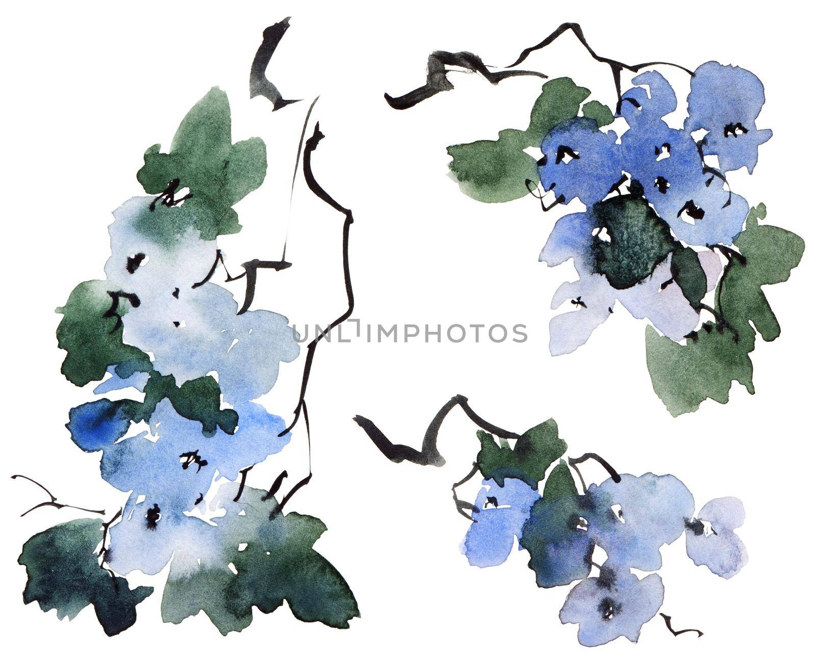 Watercolor and ink illustration of tree branch in bloom - blue flowers, buds and leaves. Oriental traditional painting in style sumi-e, u-sin and gohua.