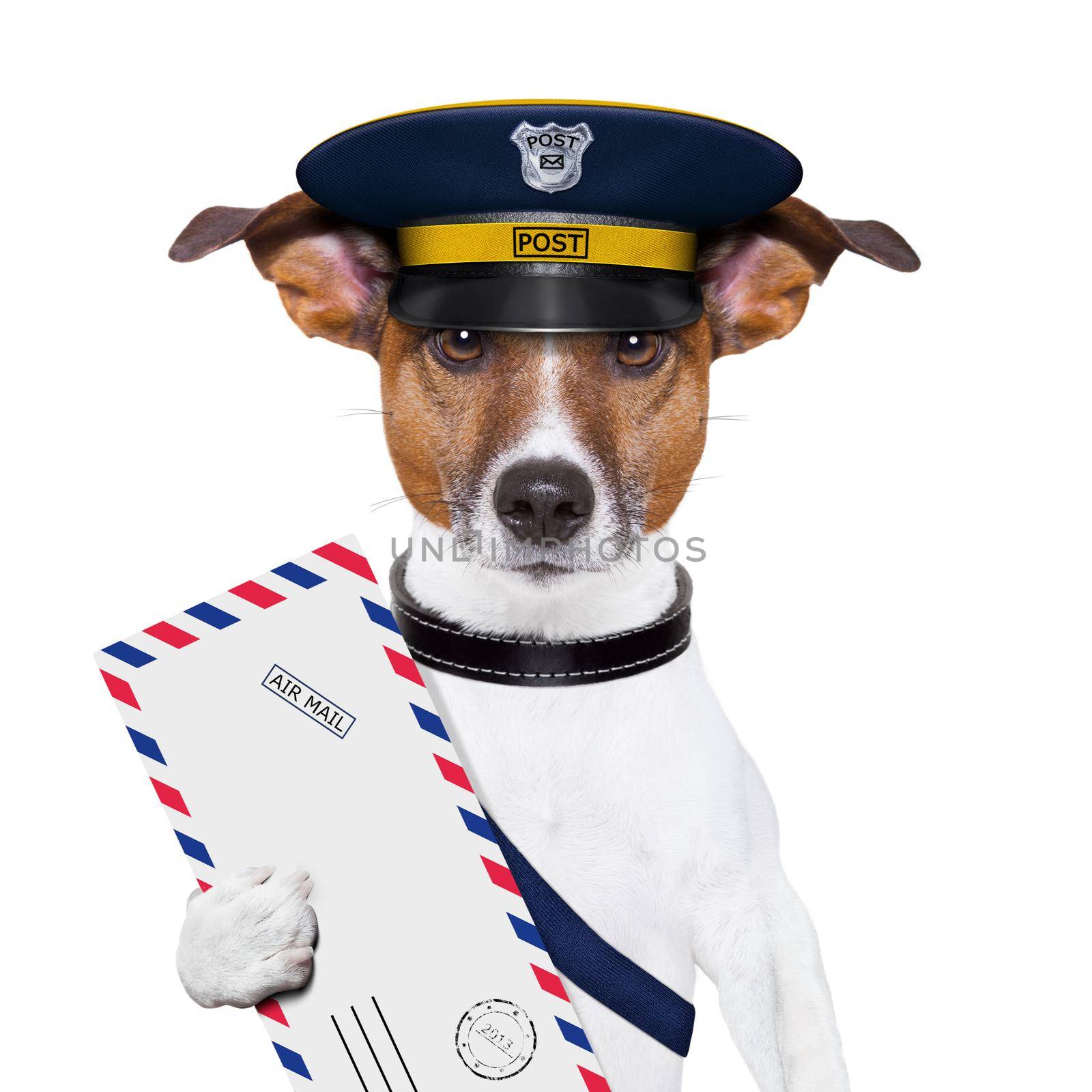 mail dog by Brosch