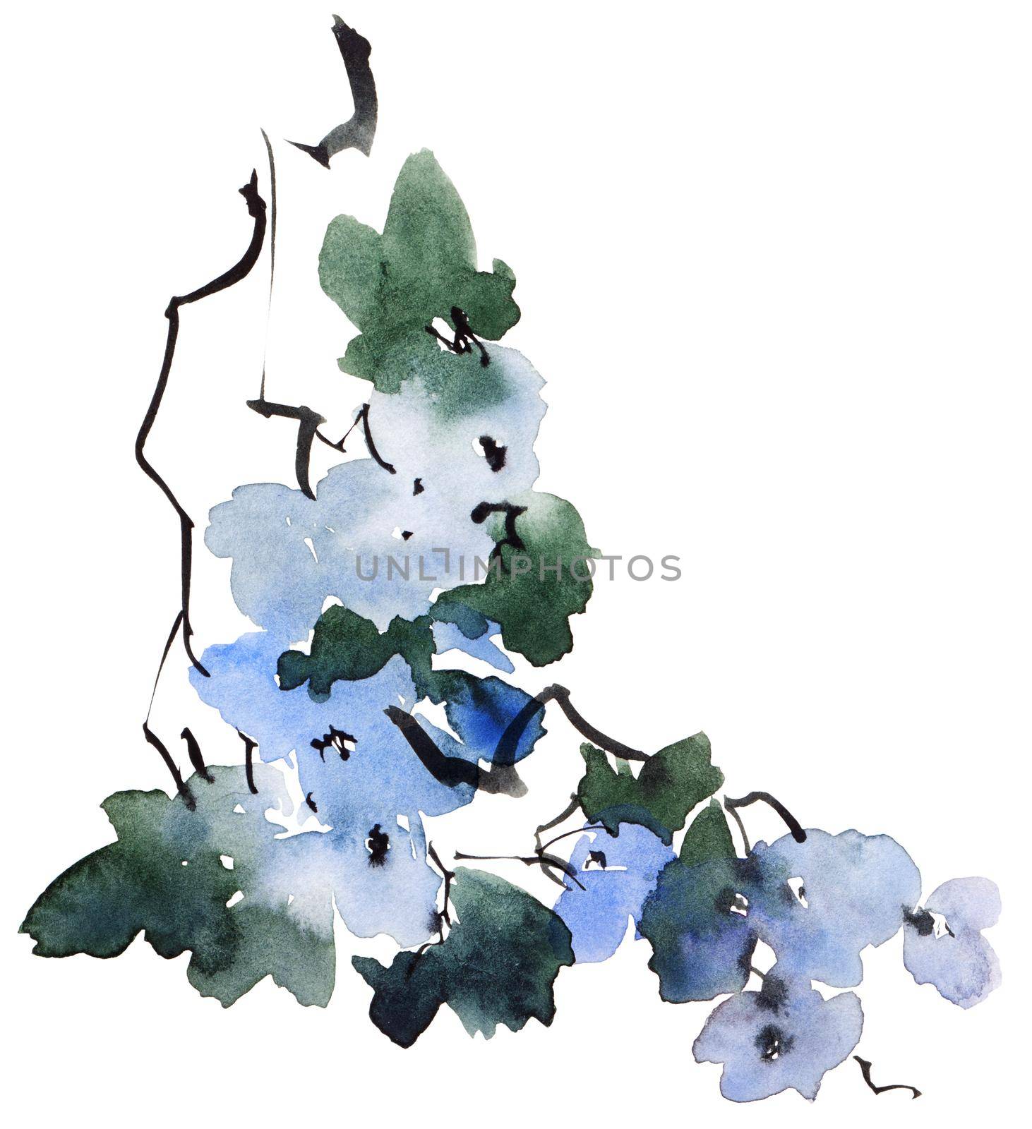 Watercolor and ink illustration of tree branch in bloom - blue flowers, buds and leaves. Oriental traditional painting in style sumi-e, u-sin and gohua.