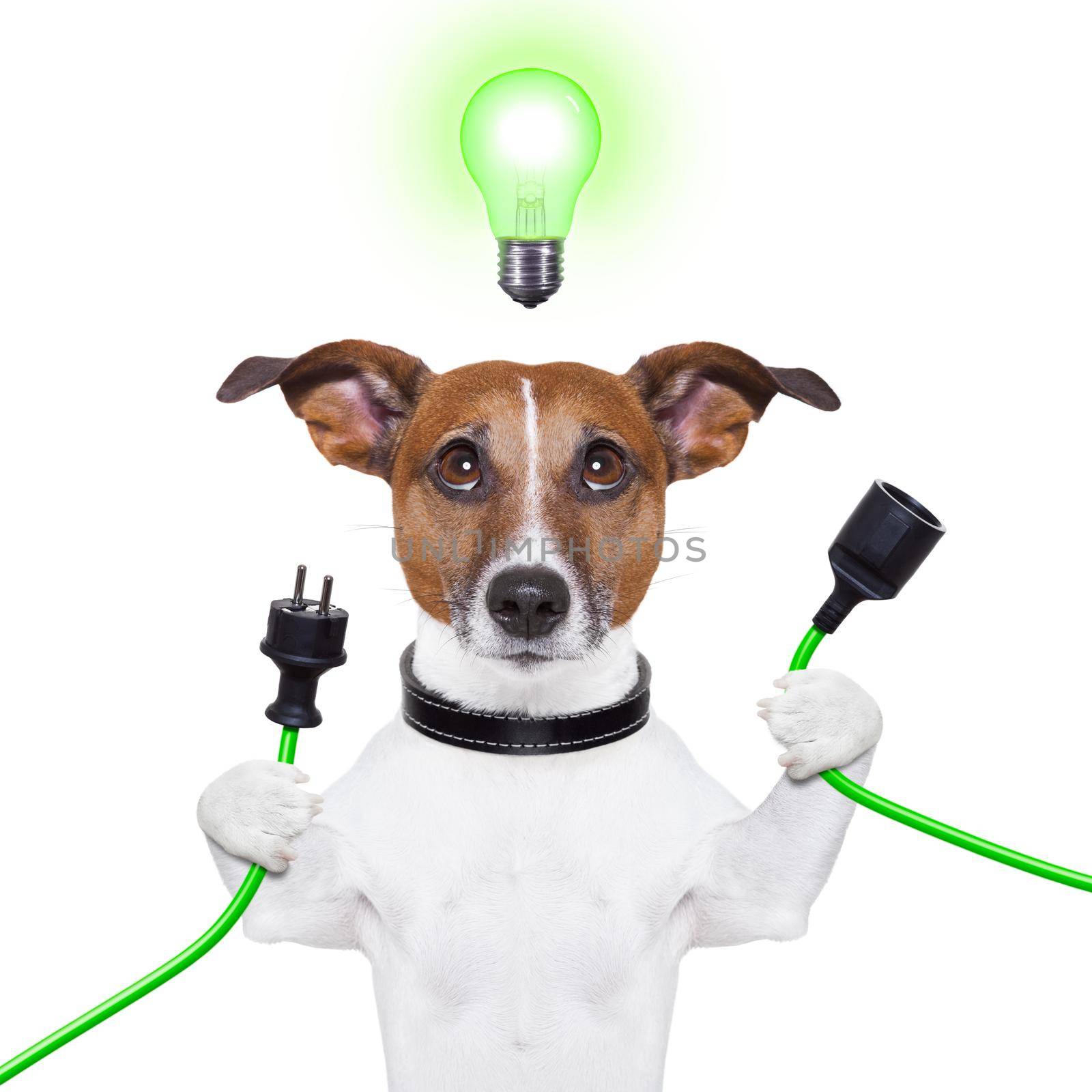 green energy dog with a cable and a light bulb