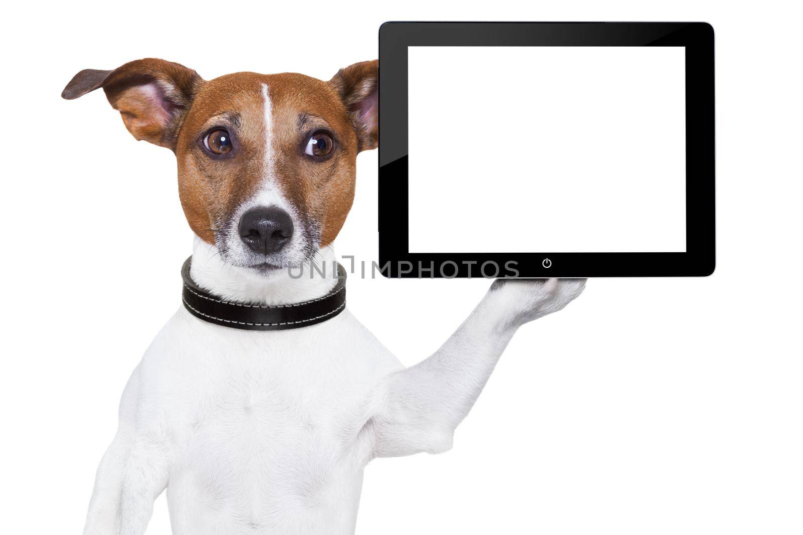 dog holding a  blank tablet pc on paw