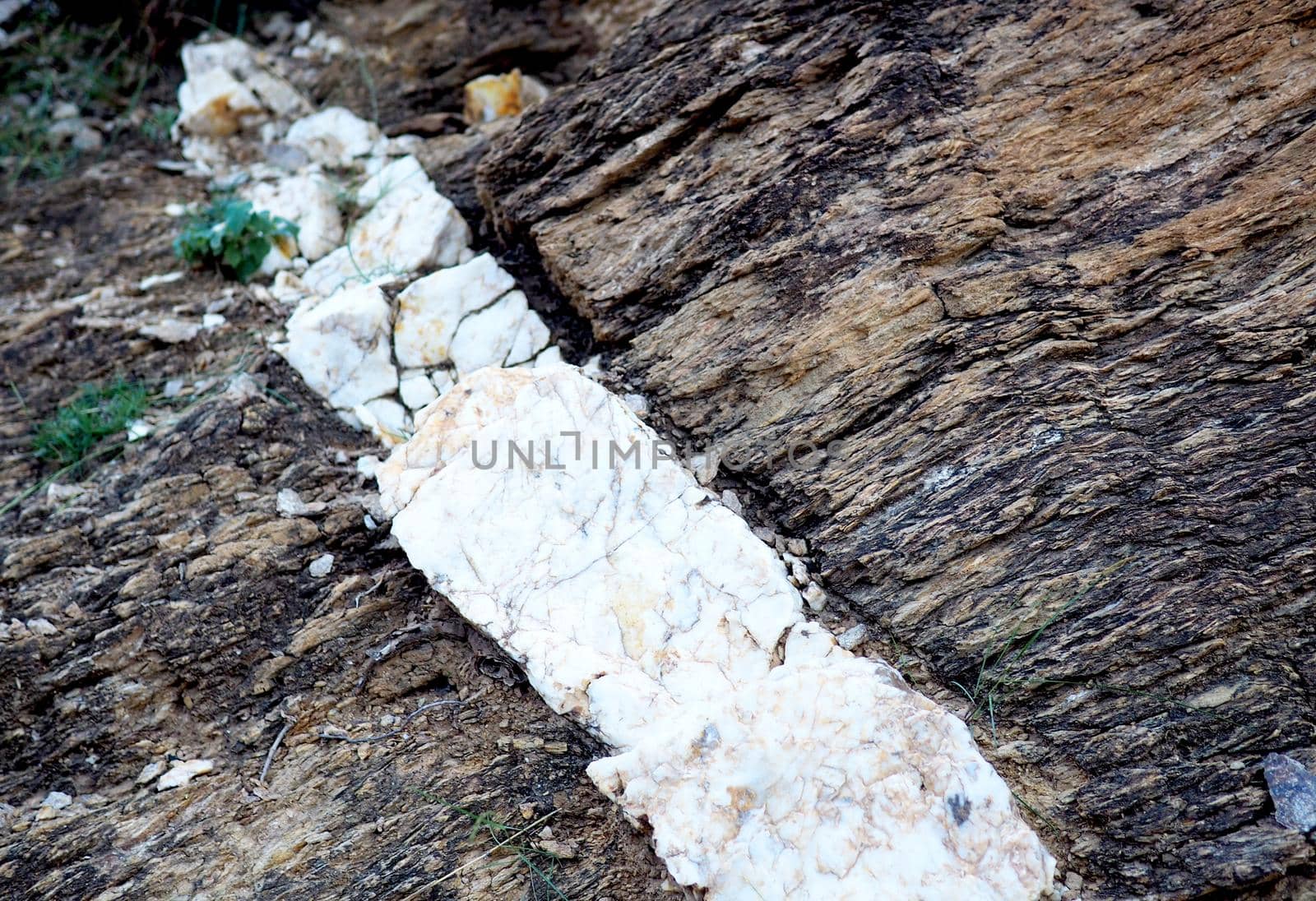 Seam of quartz in sedimentary sandstone rock