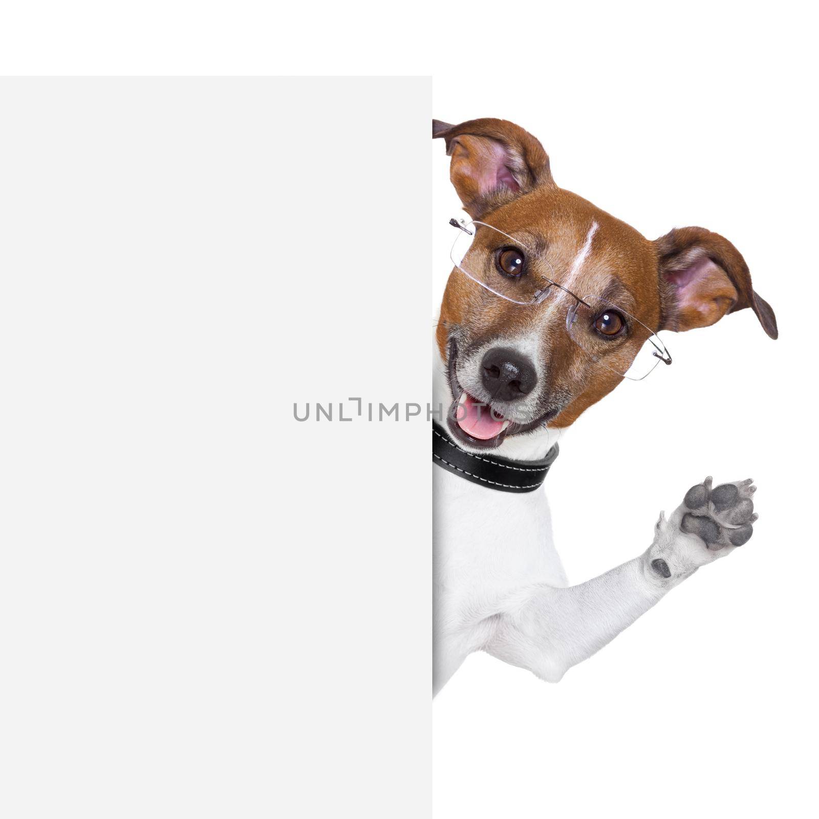 dog  with glasses behind a white banner waving
