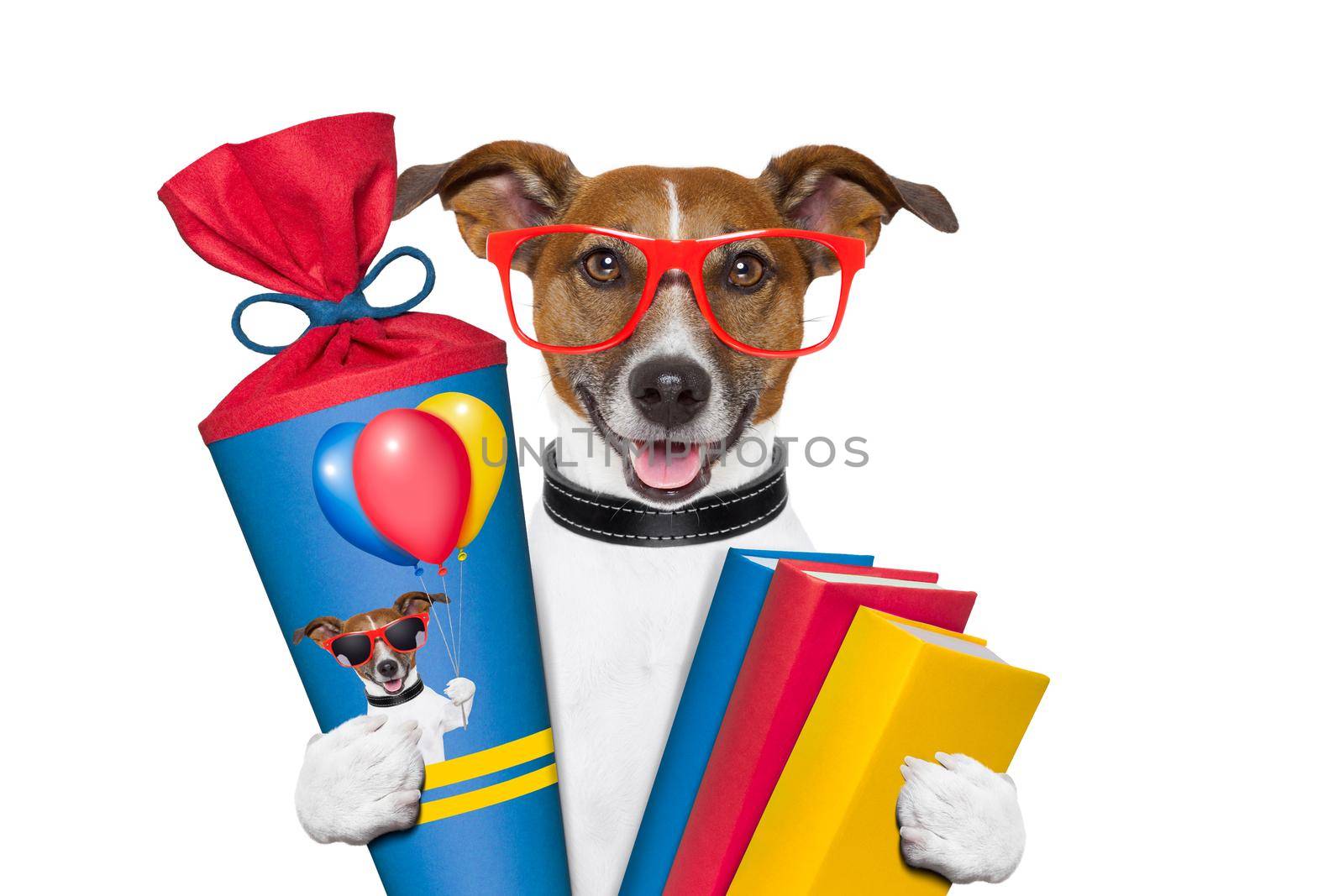 school dog with books and school cone