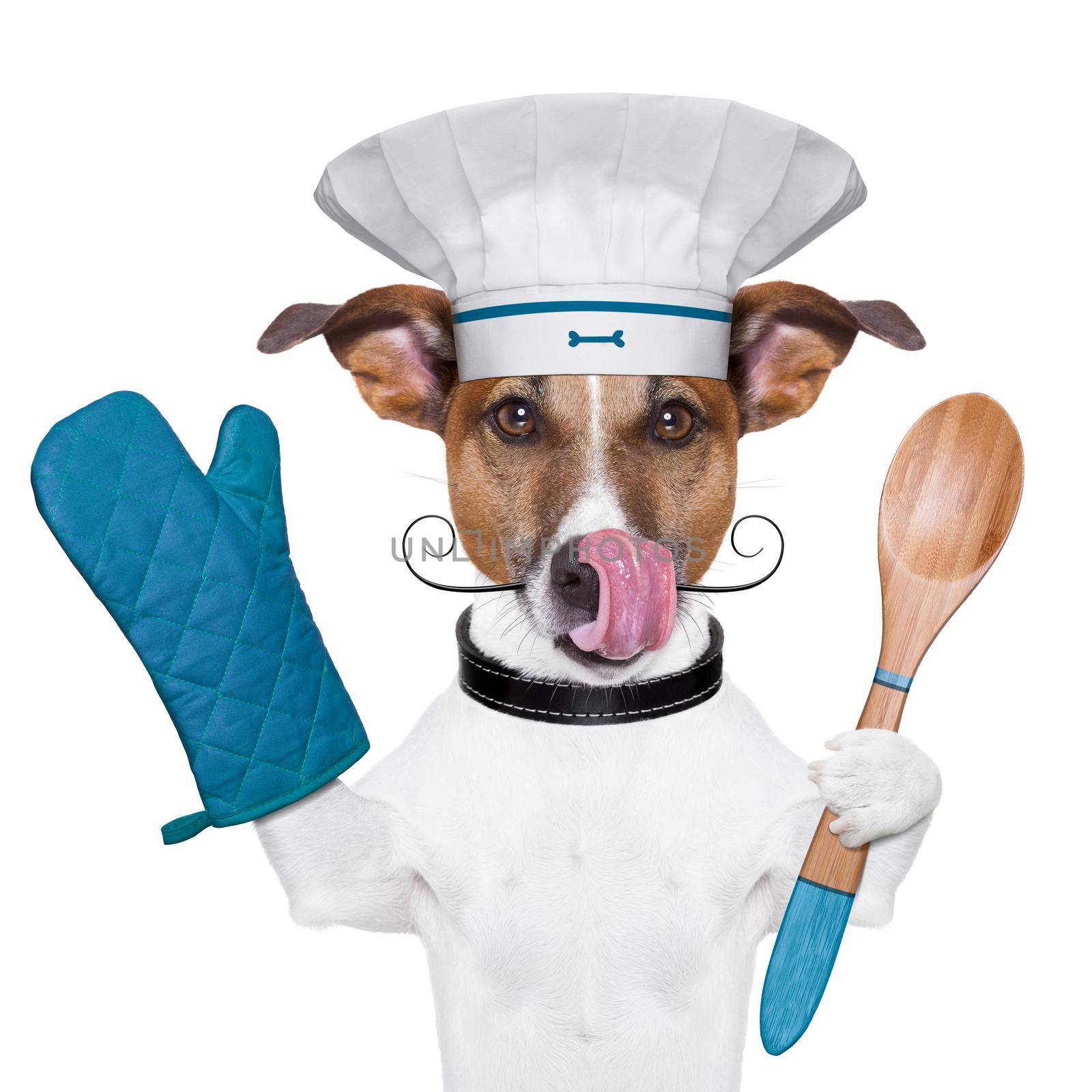 a cook dog holding an cooking spoon and licking