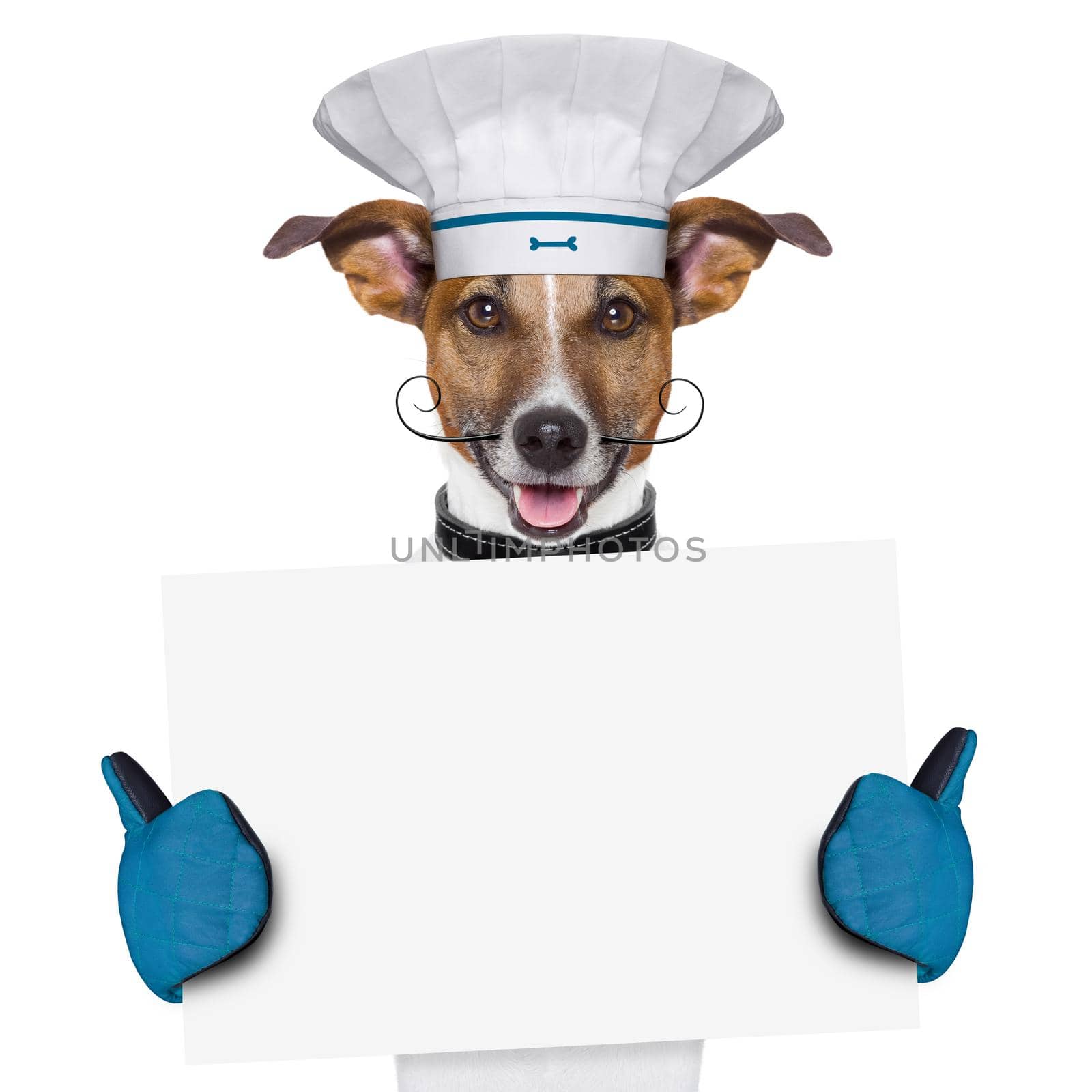 dog cook chef banner by Brosch