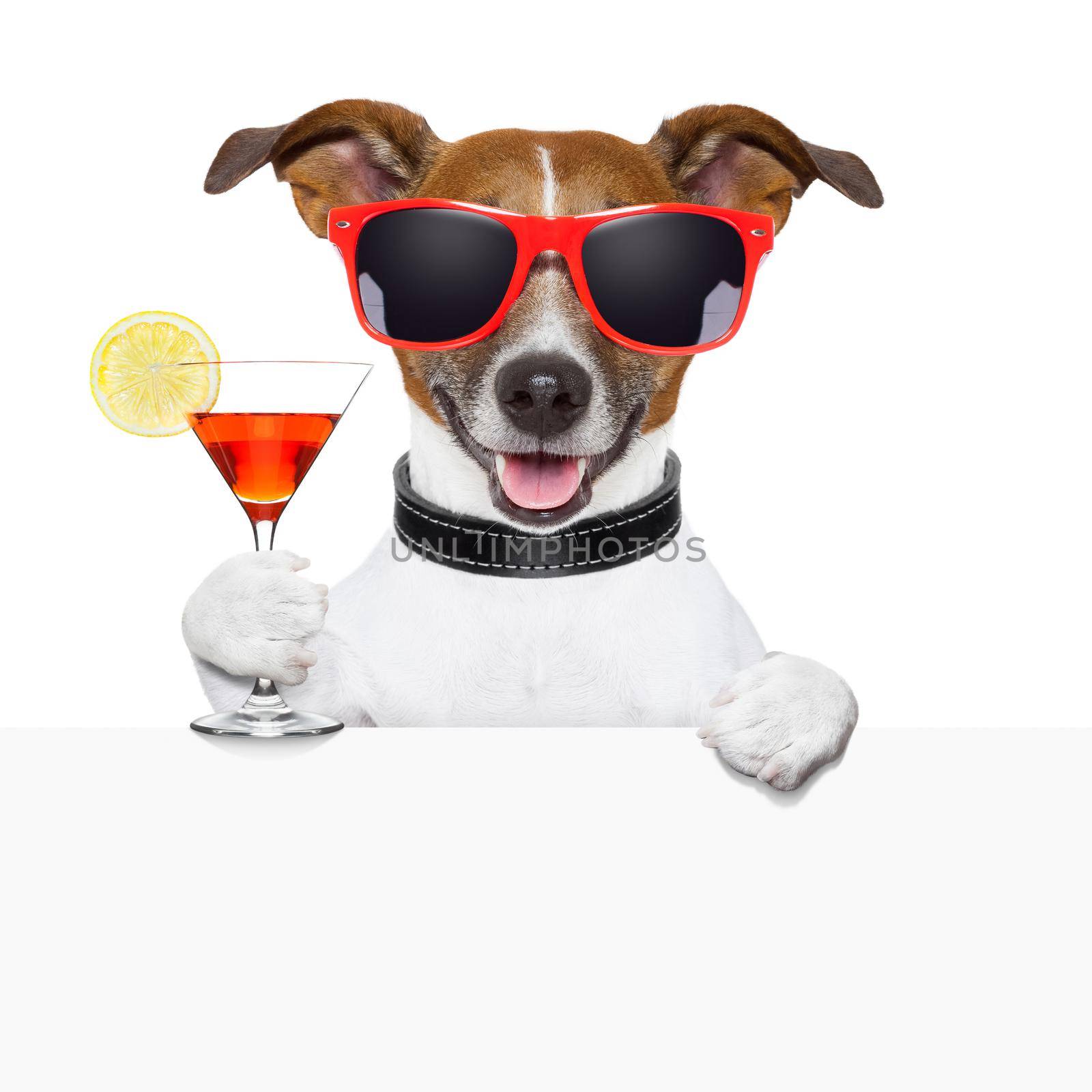 funny cocktail dog banner by Brosch