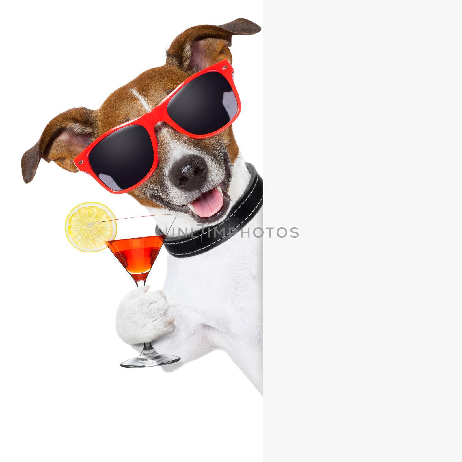funny cocktail dog holding a martini glass behind a banner