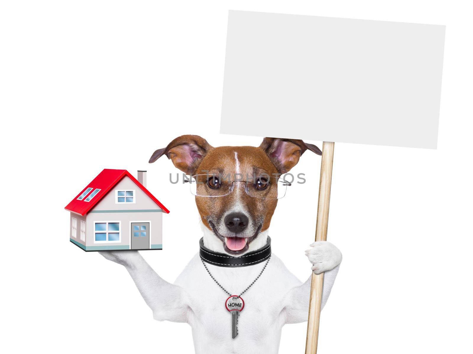 dog holding an empty placard with a house and a key