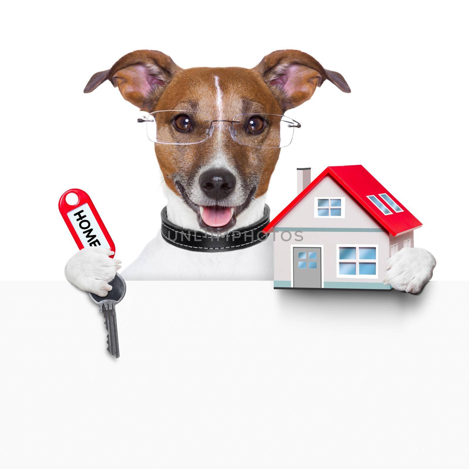 dog behind an empty placard with a small house and  home keys