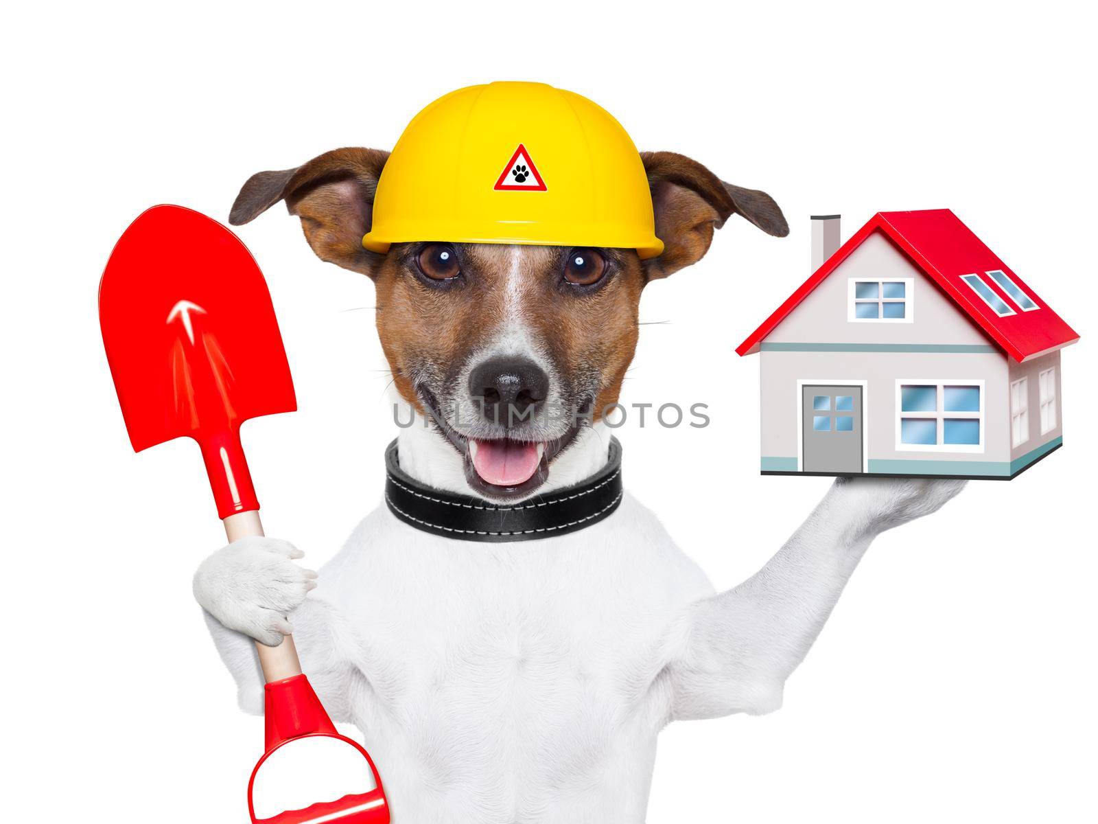 home dog builder by Brosch