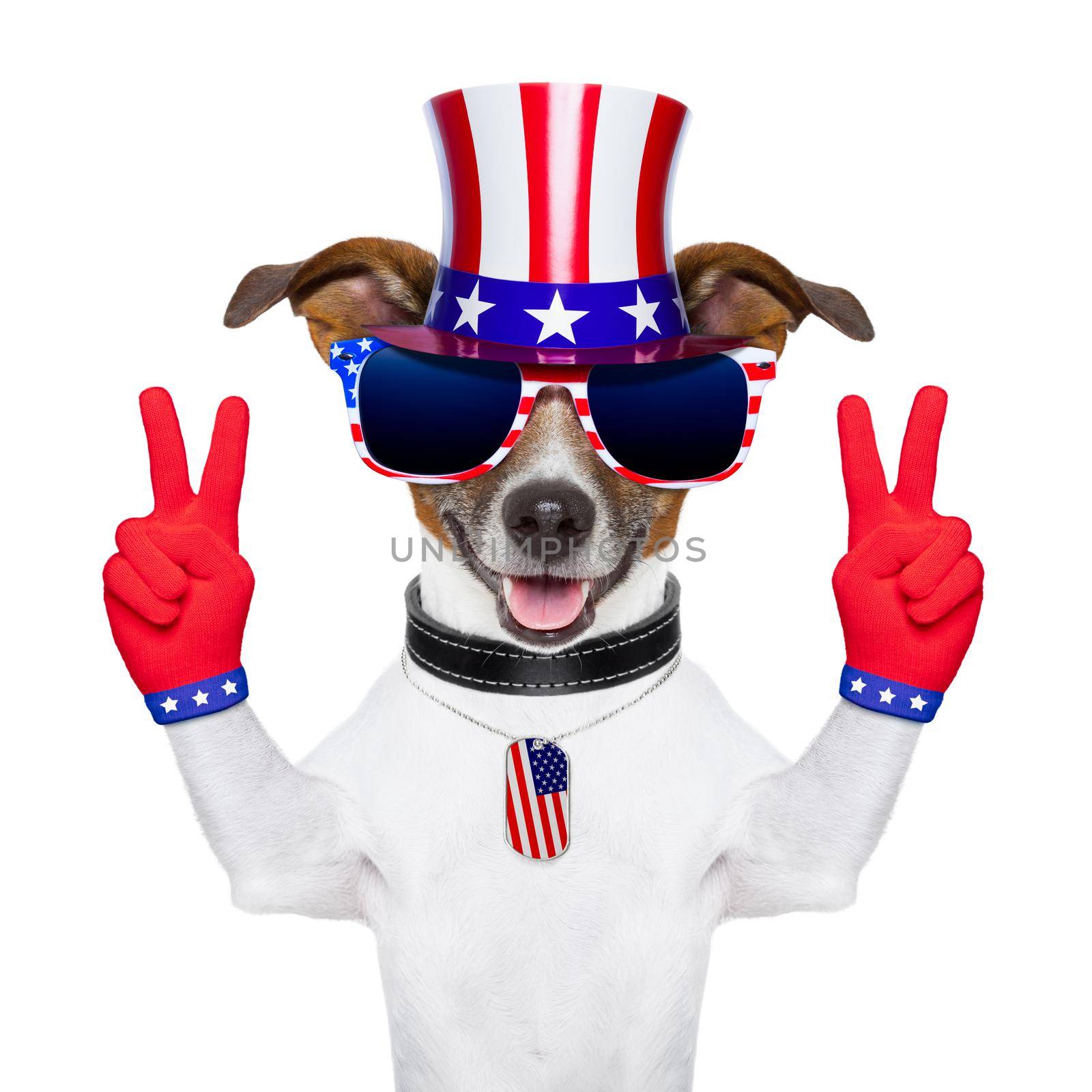 american peace and victory fingers dog with red gloves and glasses