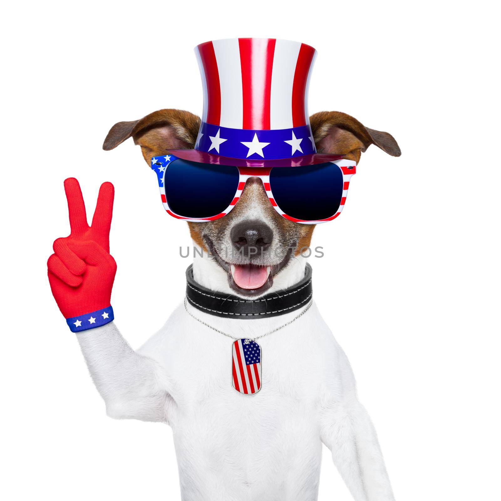 american peace dog with victory fingers gloves