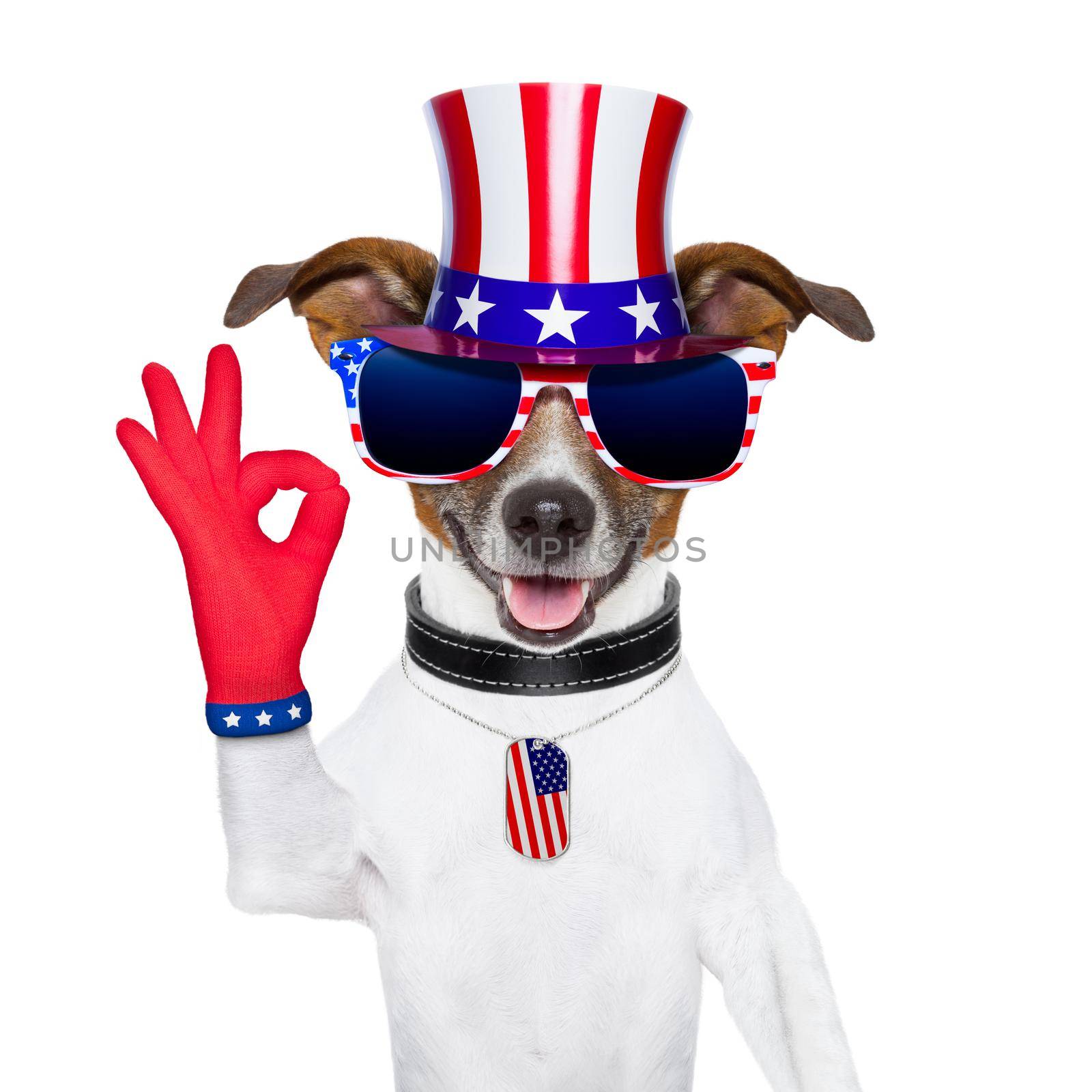 pride american dog with red ok fingers