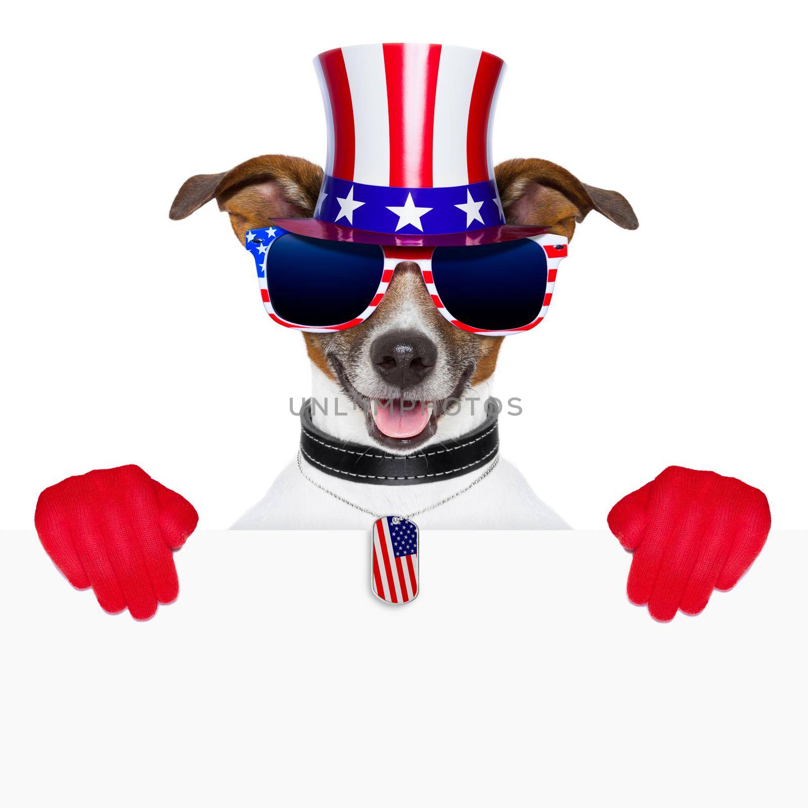 american dog with red gloves behind banner