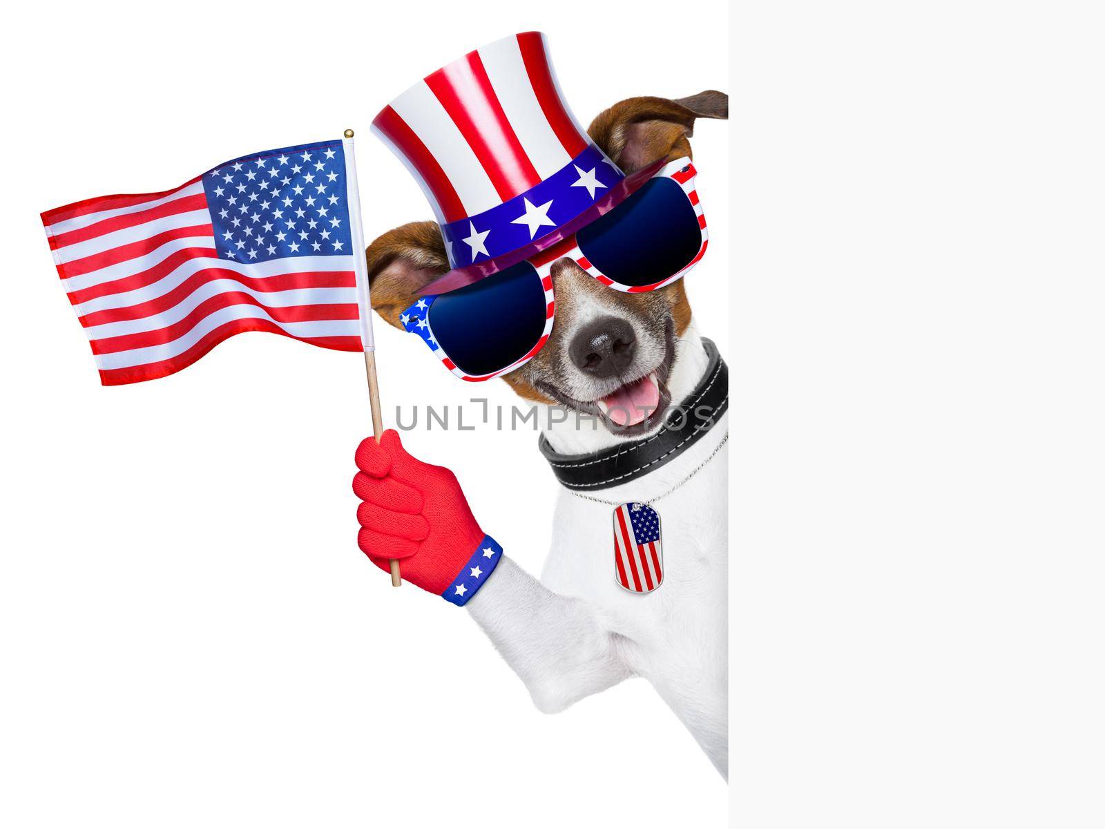 pride american dog waving us flag behind banner