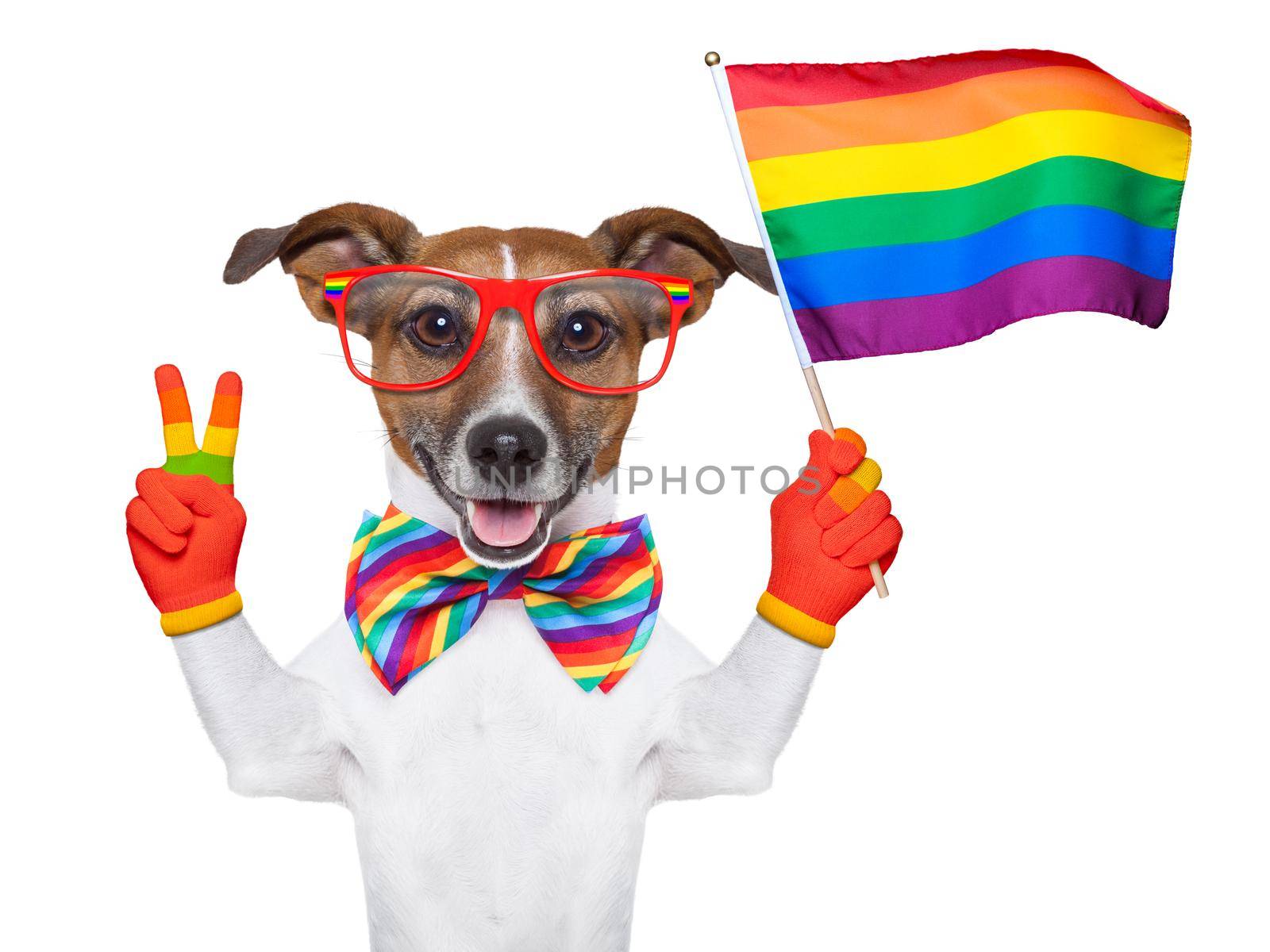 gay pride dog waving a rainbow flag