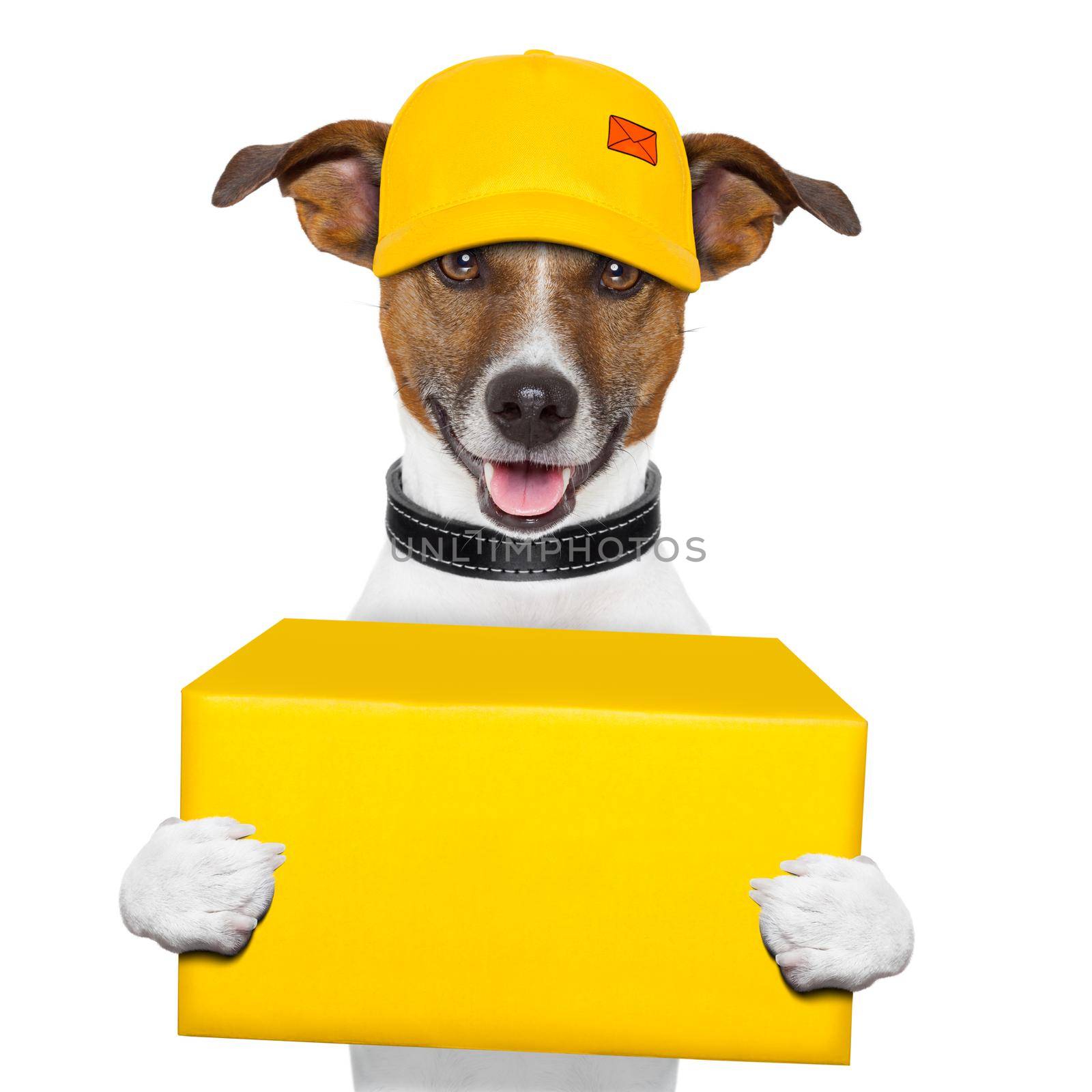dog delivery post by Brosch