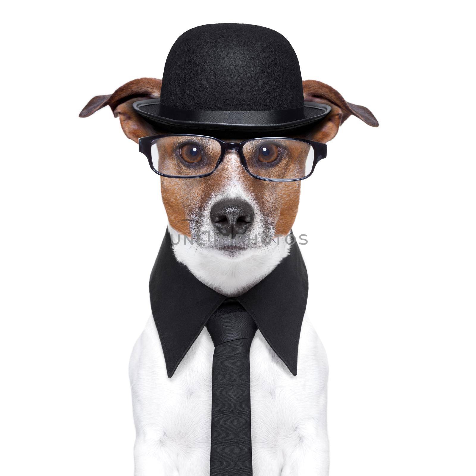 british dog with black bowler hat and black suit